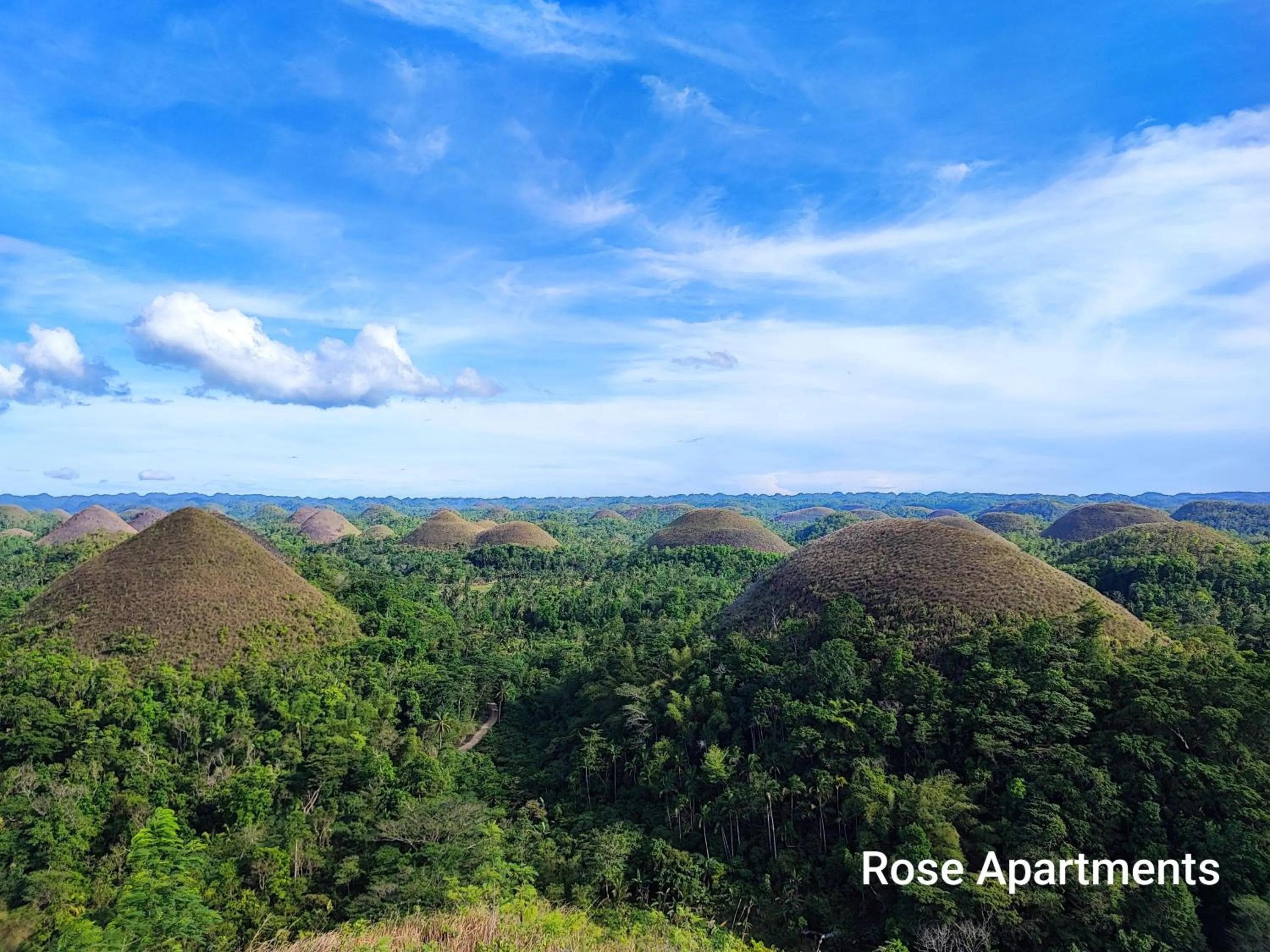 Nearby landmark in Rose Apartments