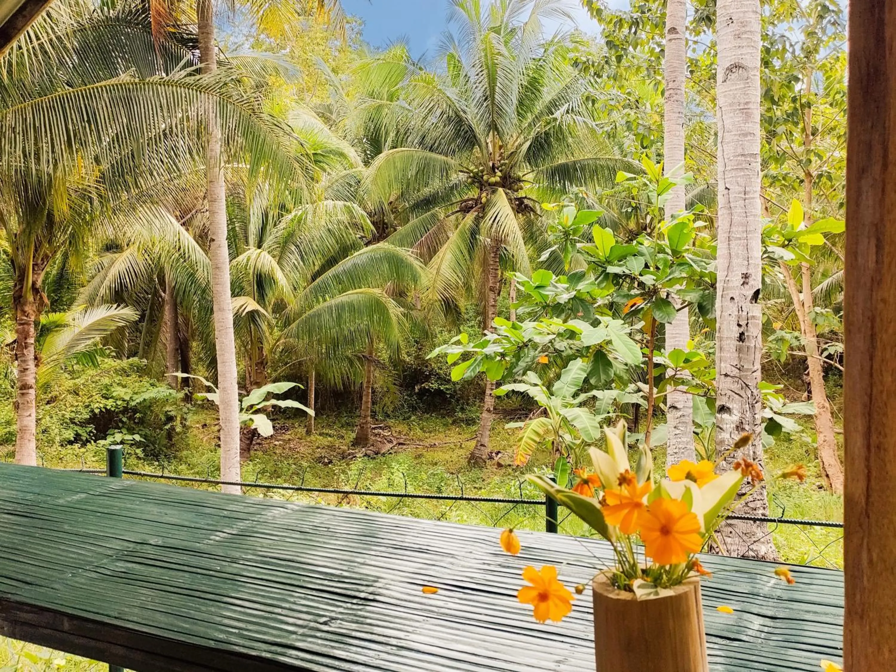 View (from property/room) in Rose Apartments