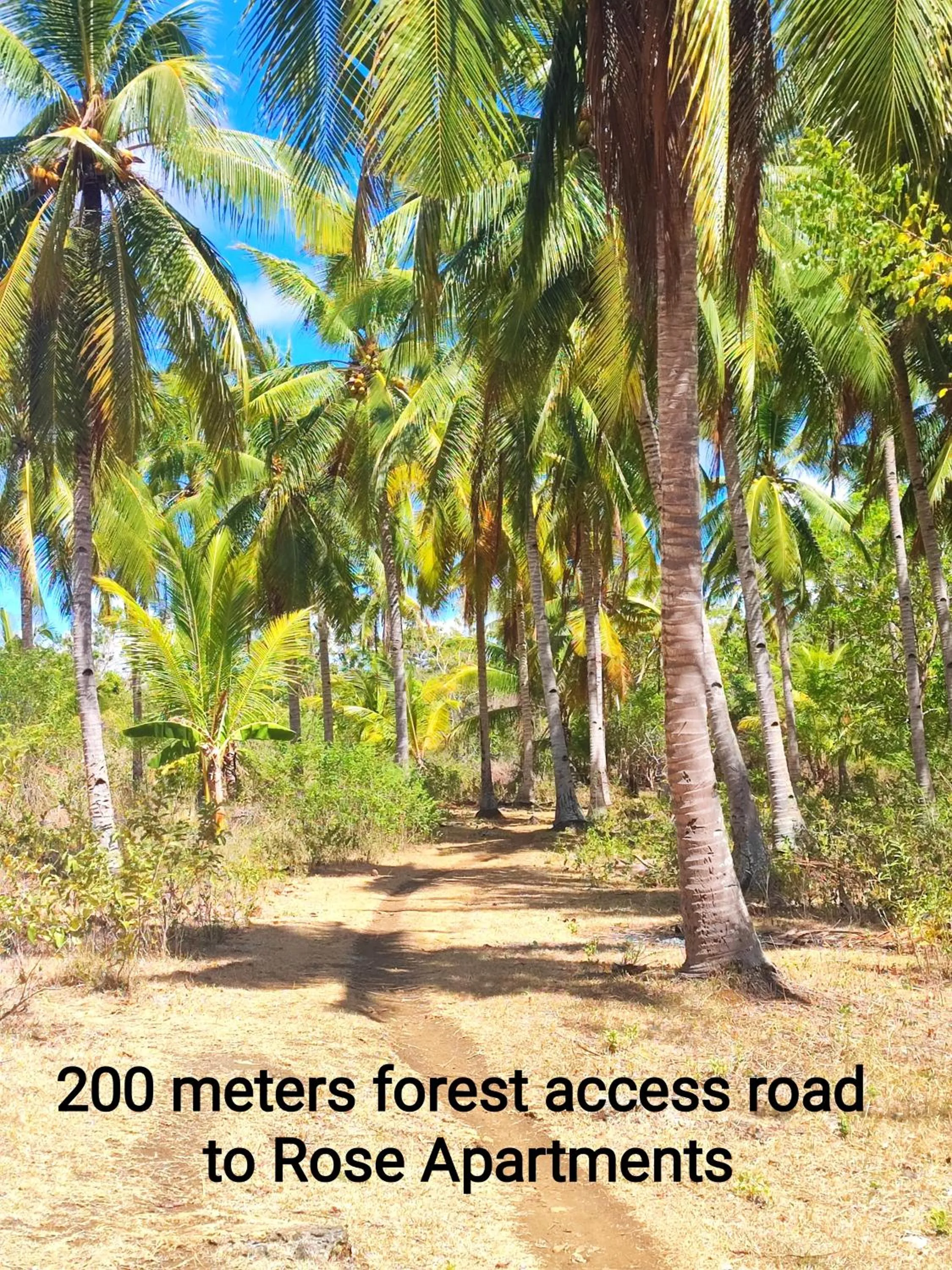 Facade/entrance in Rose Apartments