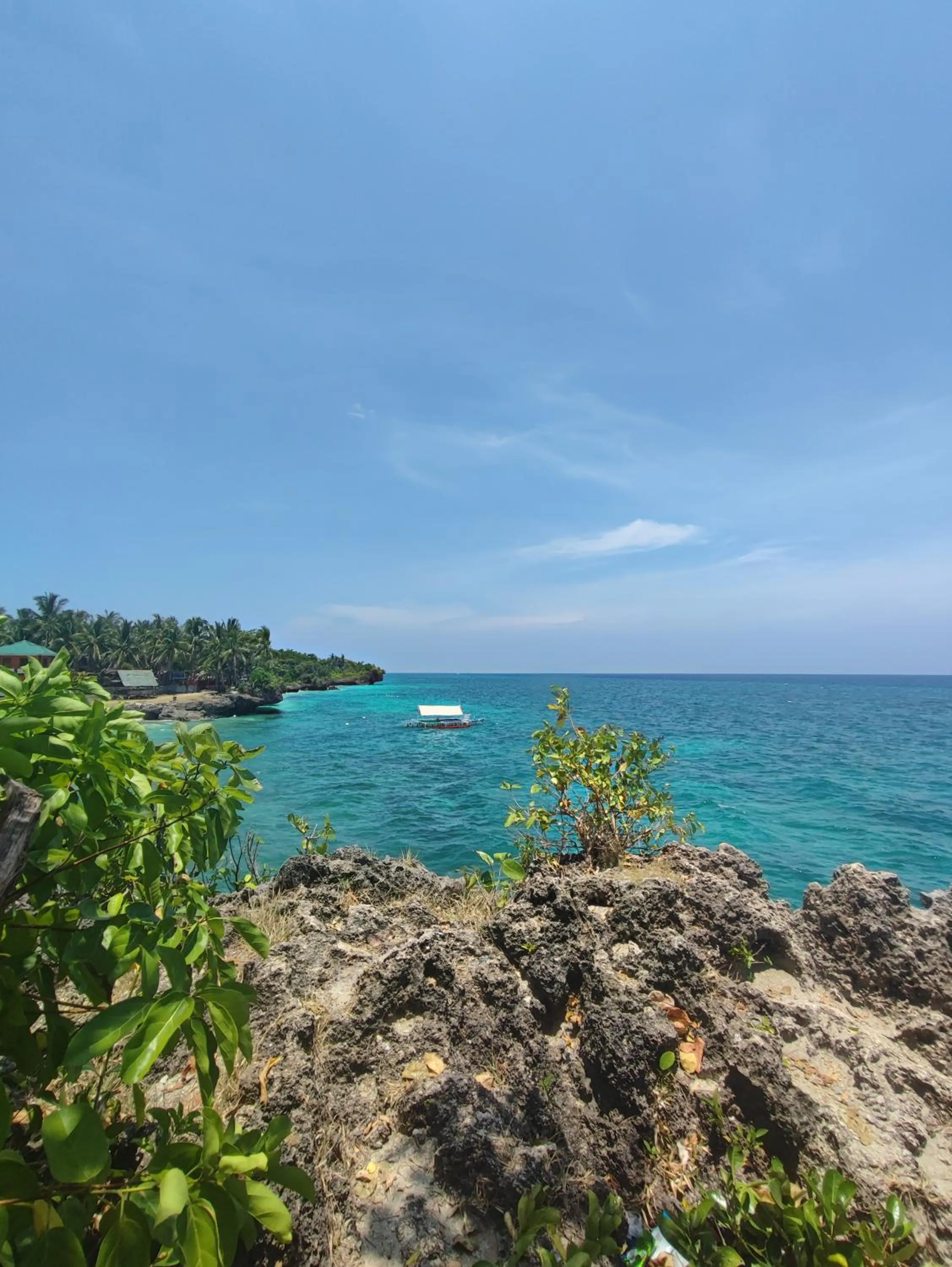 Day in Rose Apartments