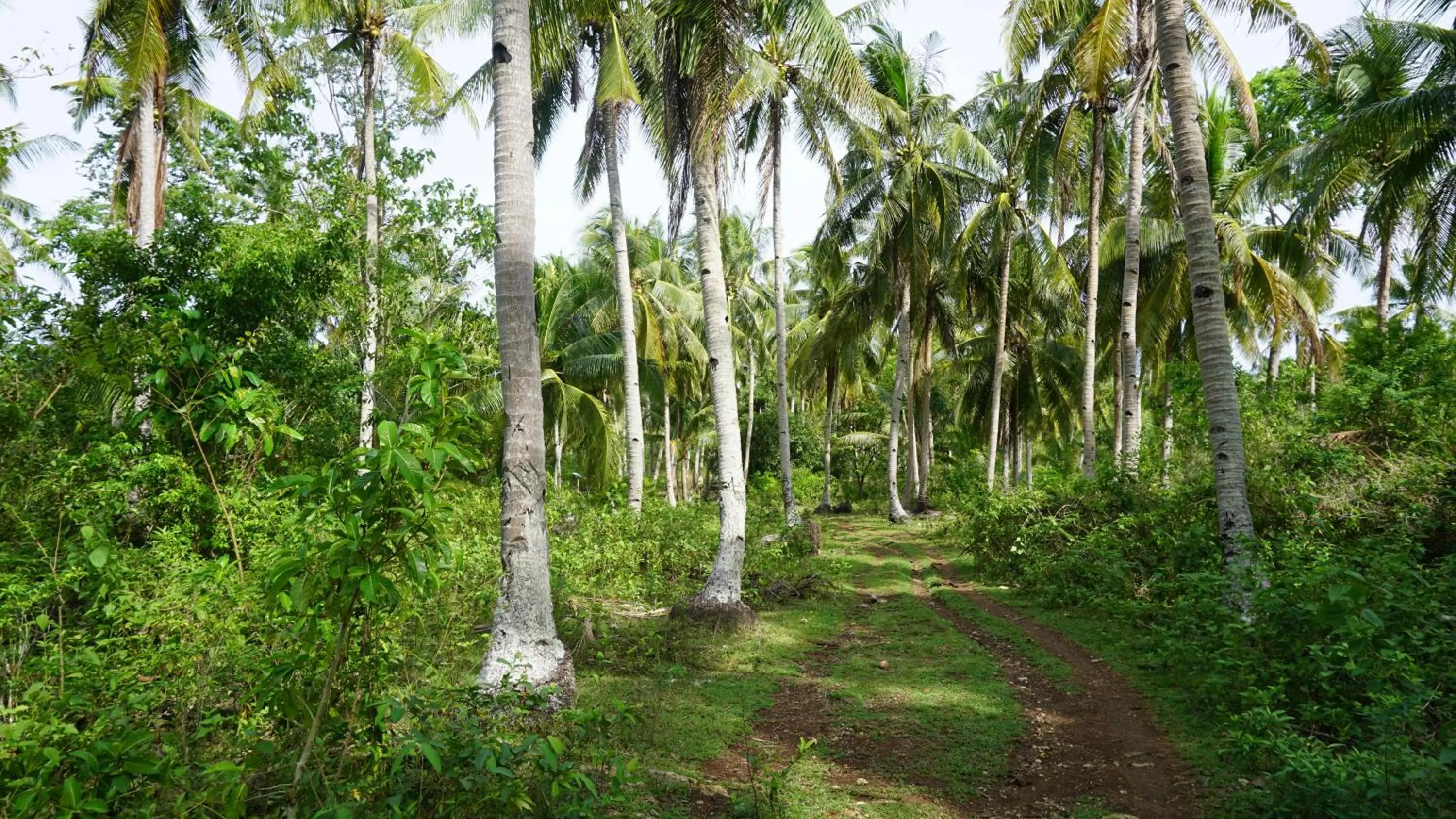 Facade/entrance in Rose Apartments
