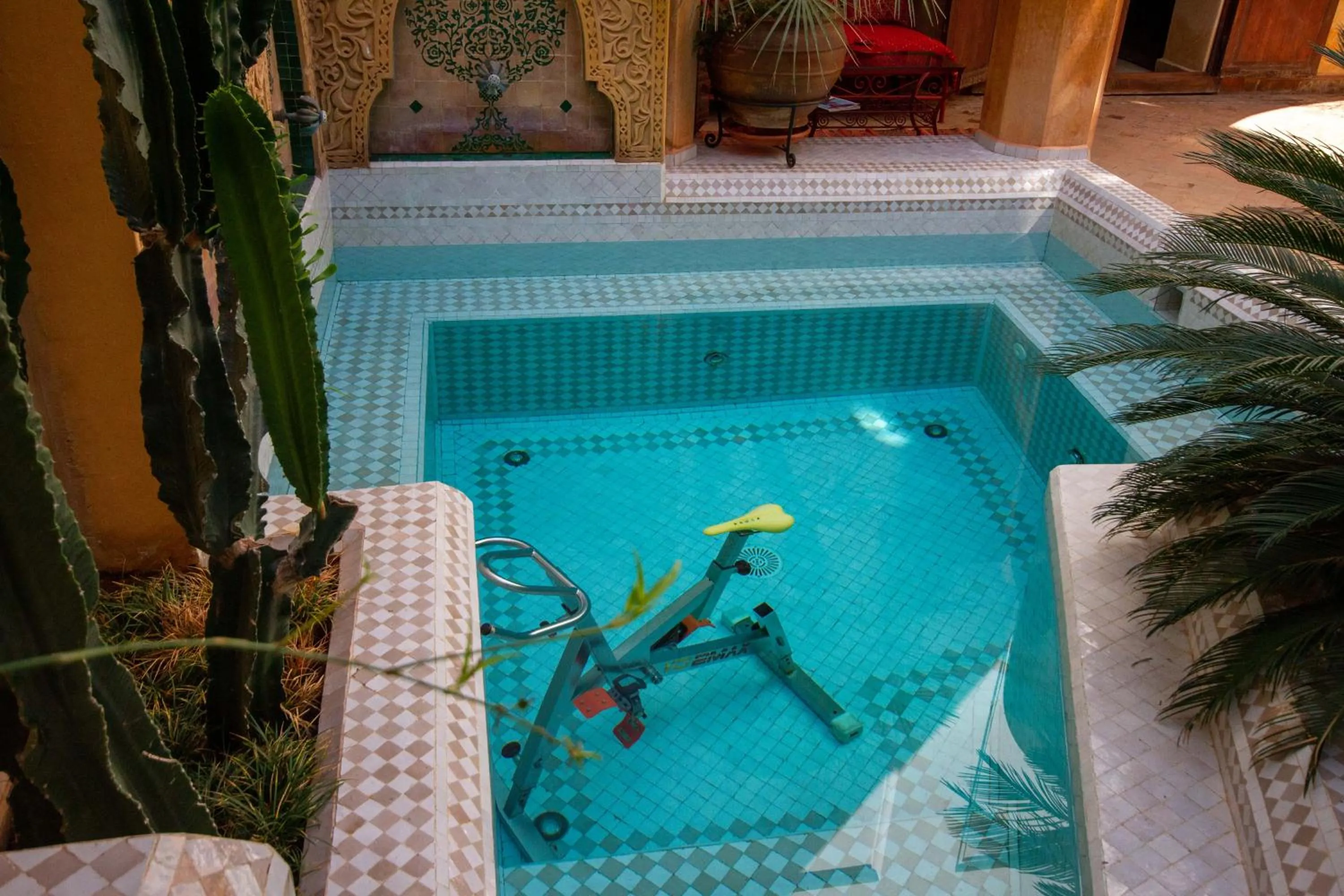 Swimming pool in Riad Dombaraka
