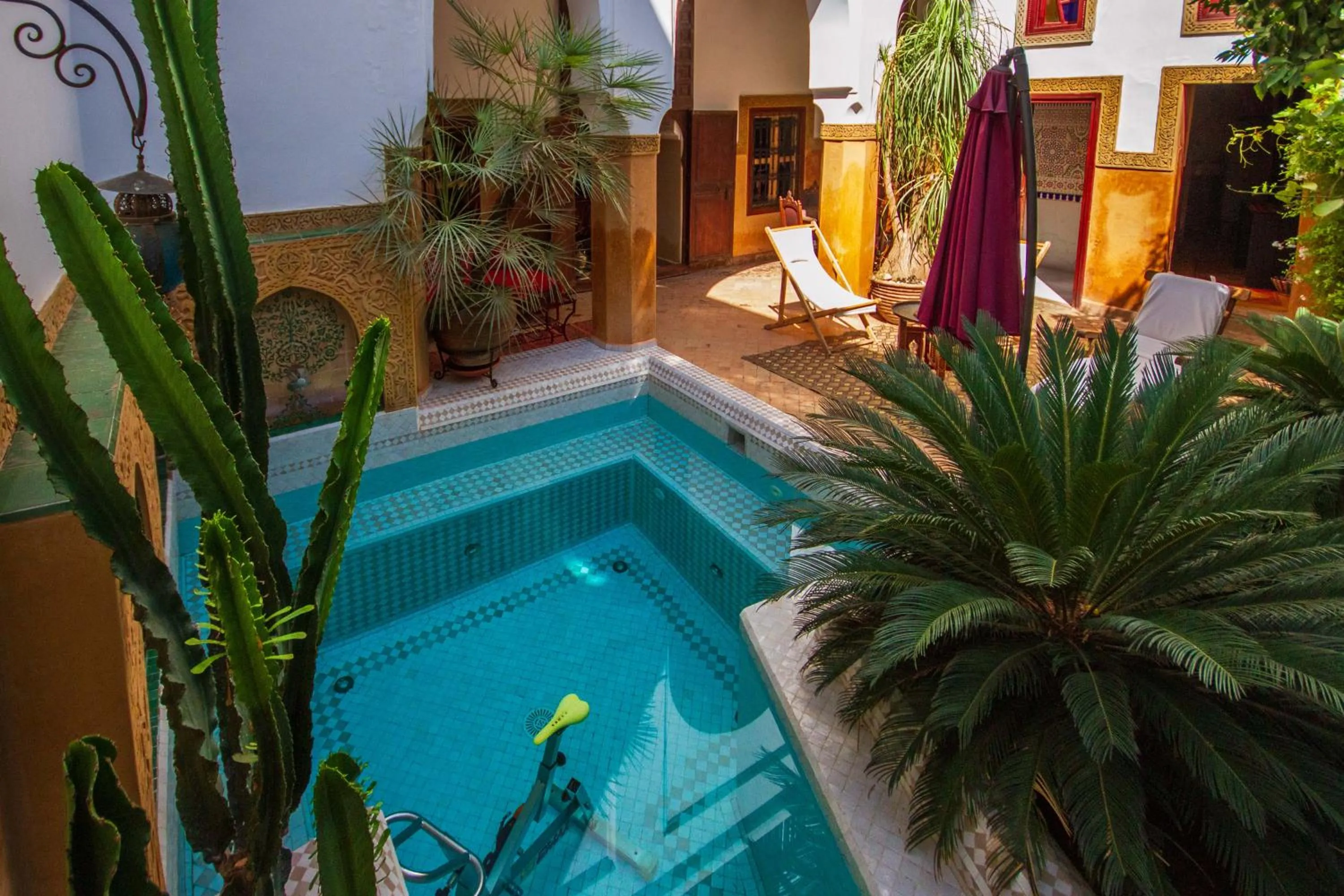 Swimming pool in Riad Dombaraka