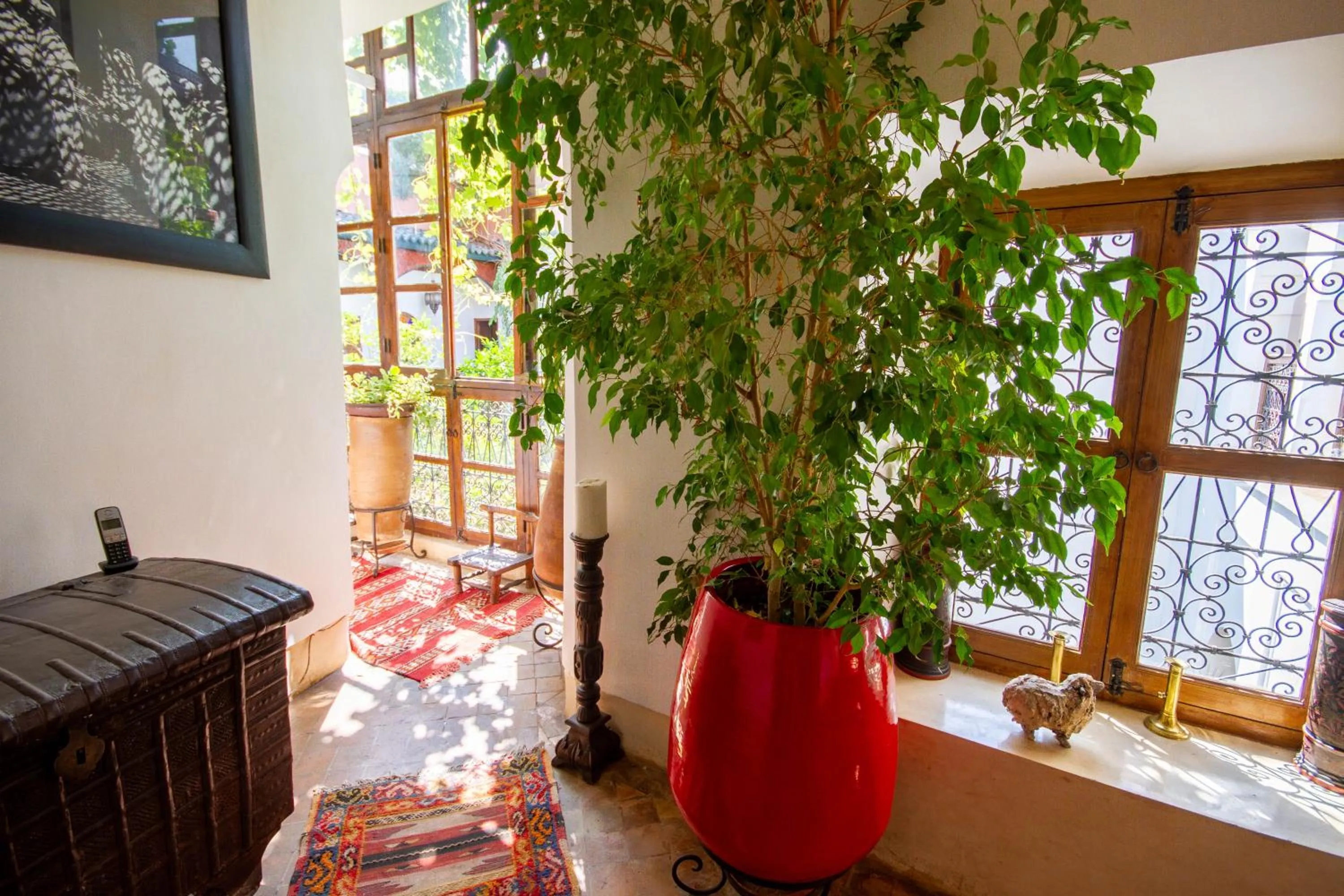 Area and facilities in Riad Dombaraka