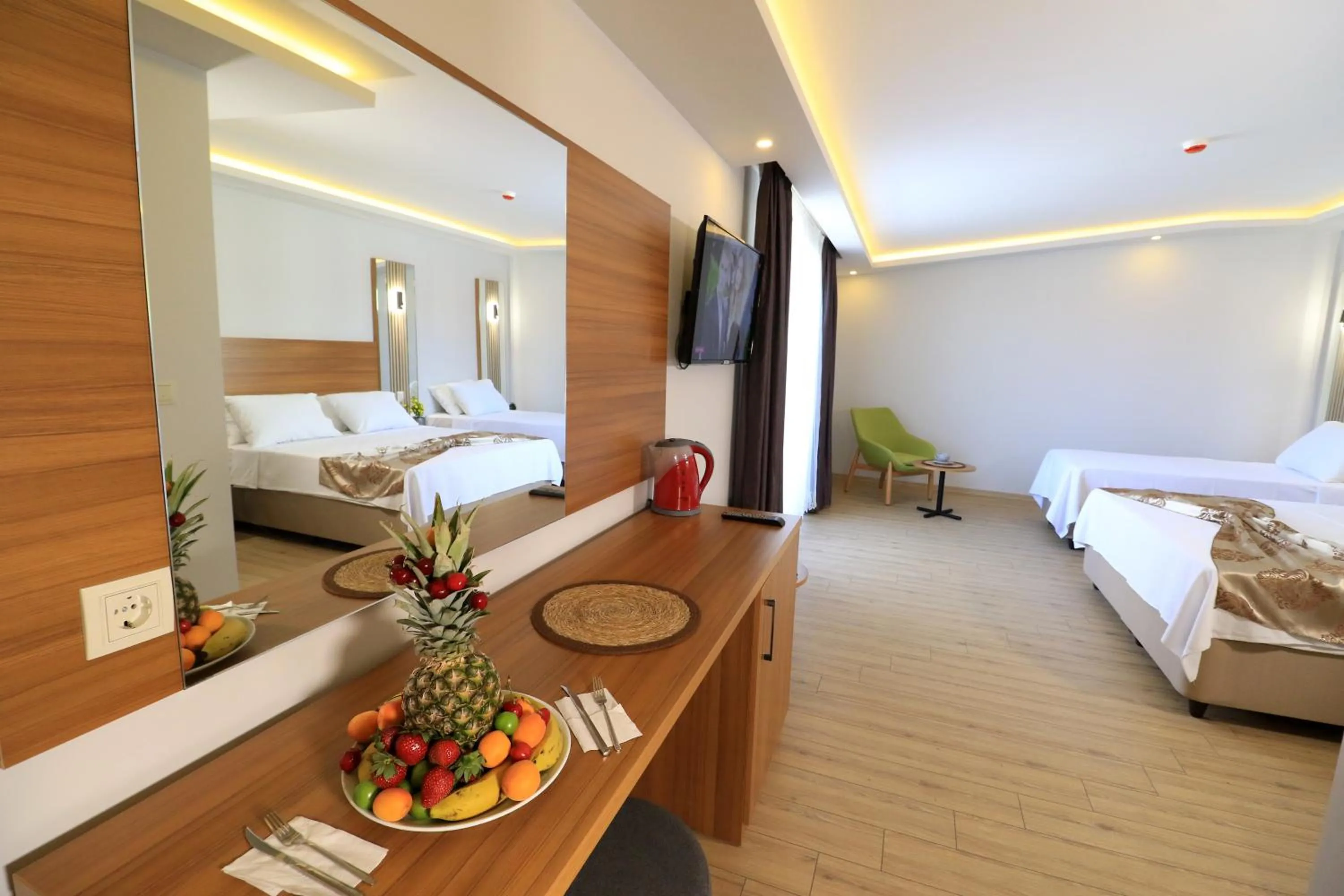 TV and multimedia in ALMIRCAN HOTEL