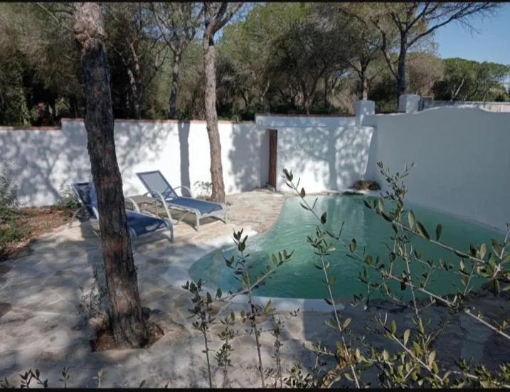 Swimming pool in Casa Palmito