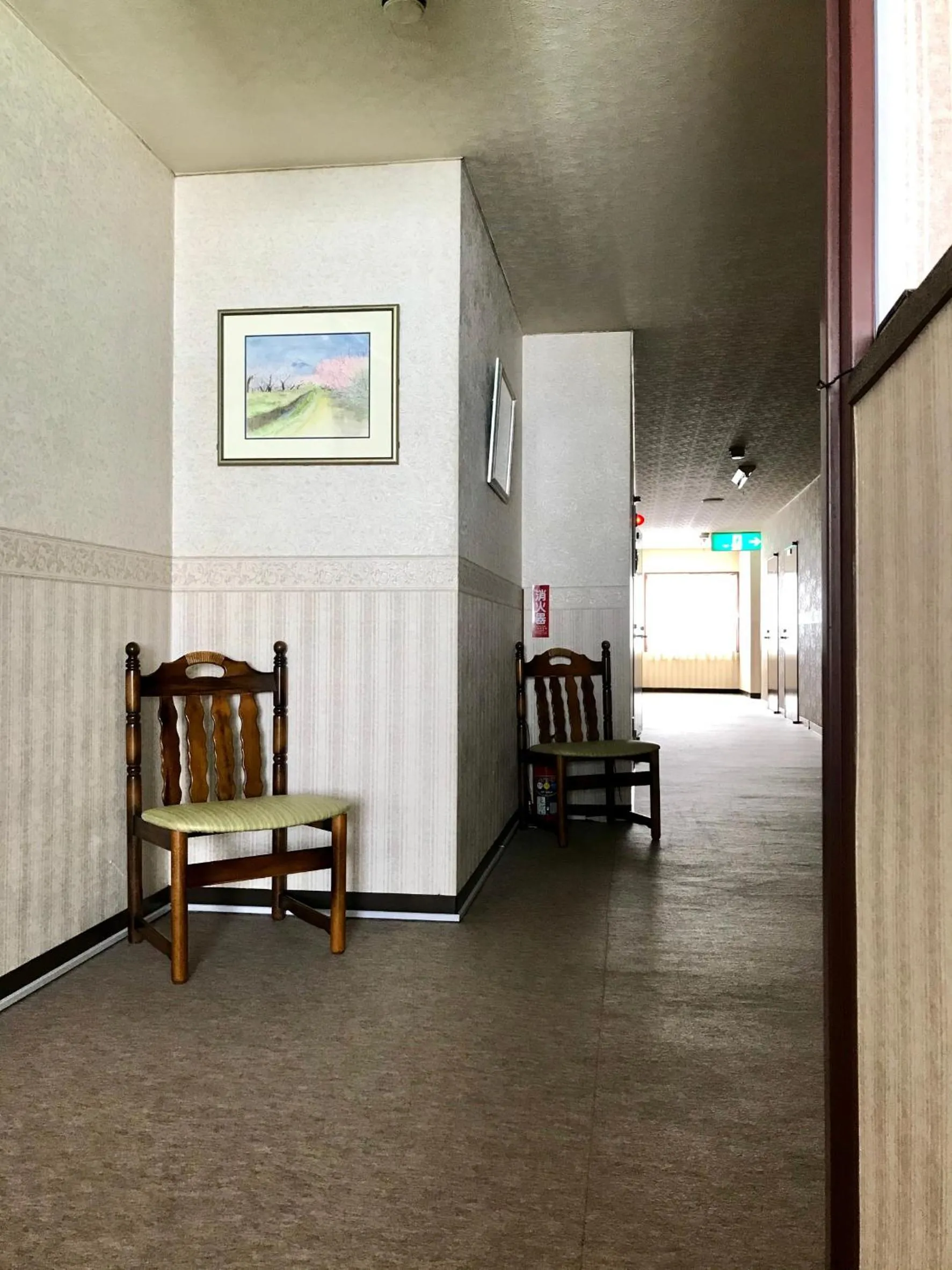 View (from property/room) in Hotel El Mayo