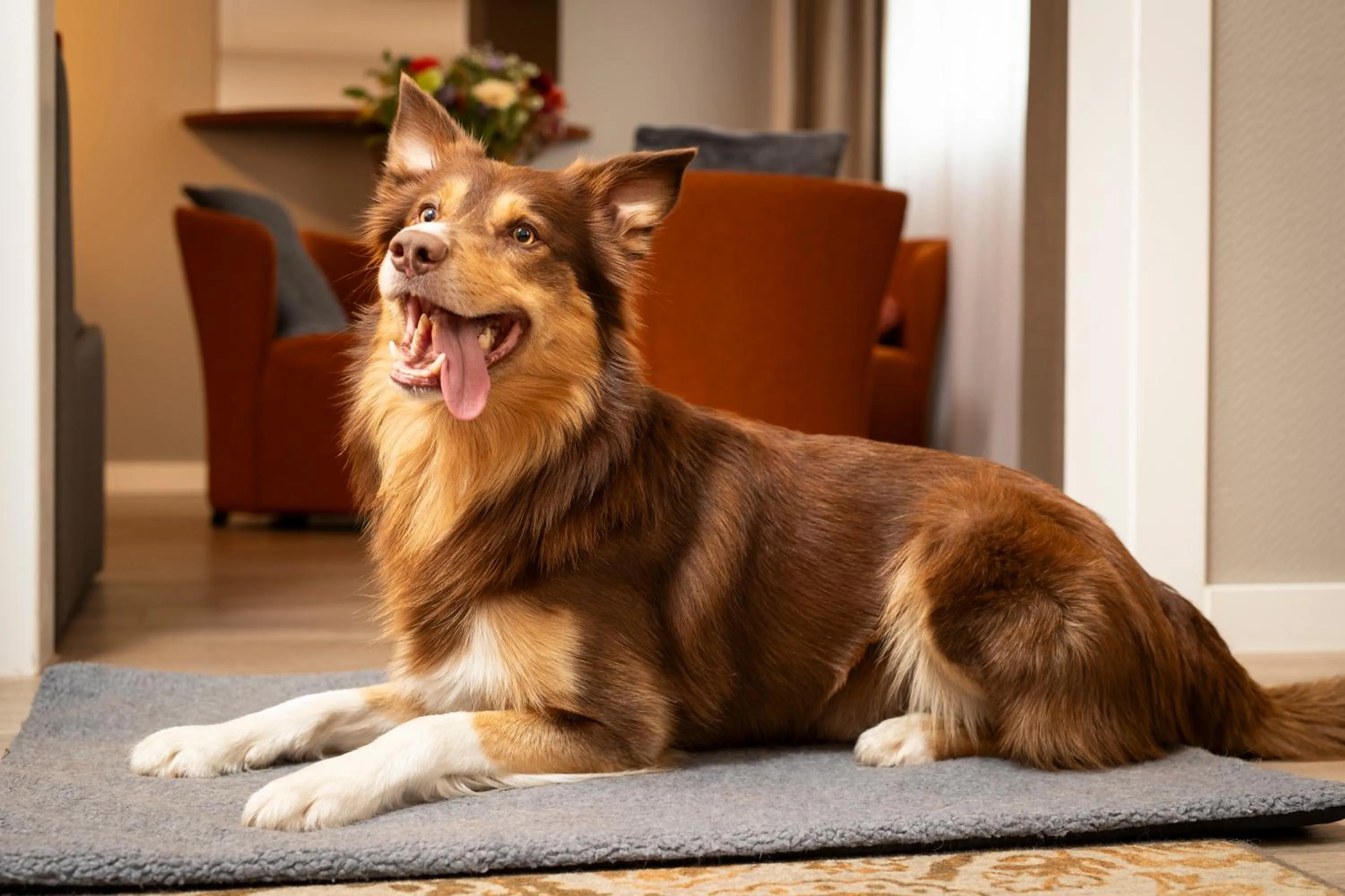 Bedroom in Novotel Maastricht