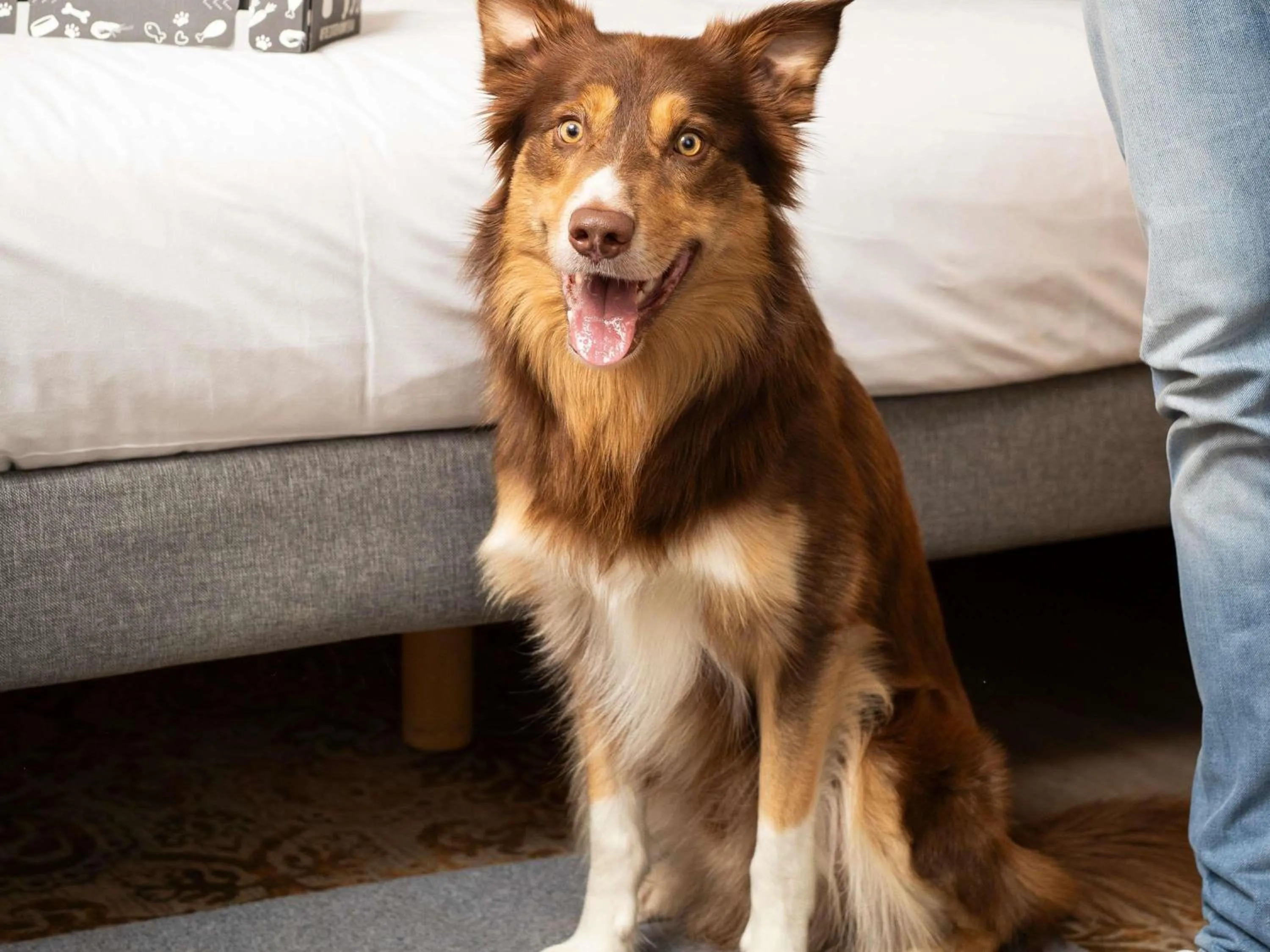 Other in Novotel Maastricht