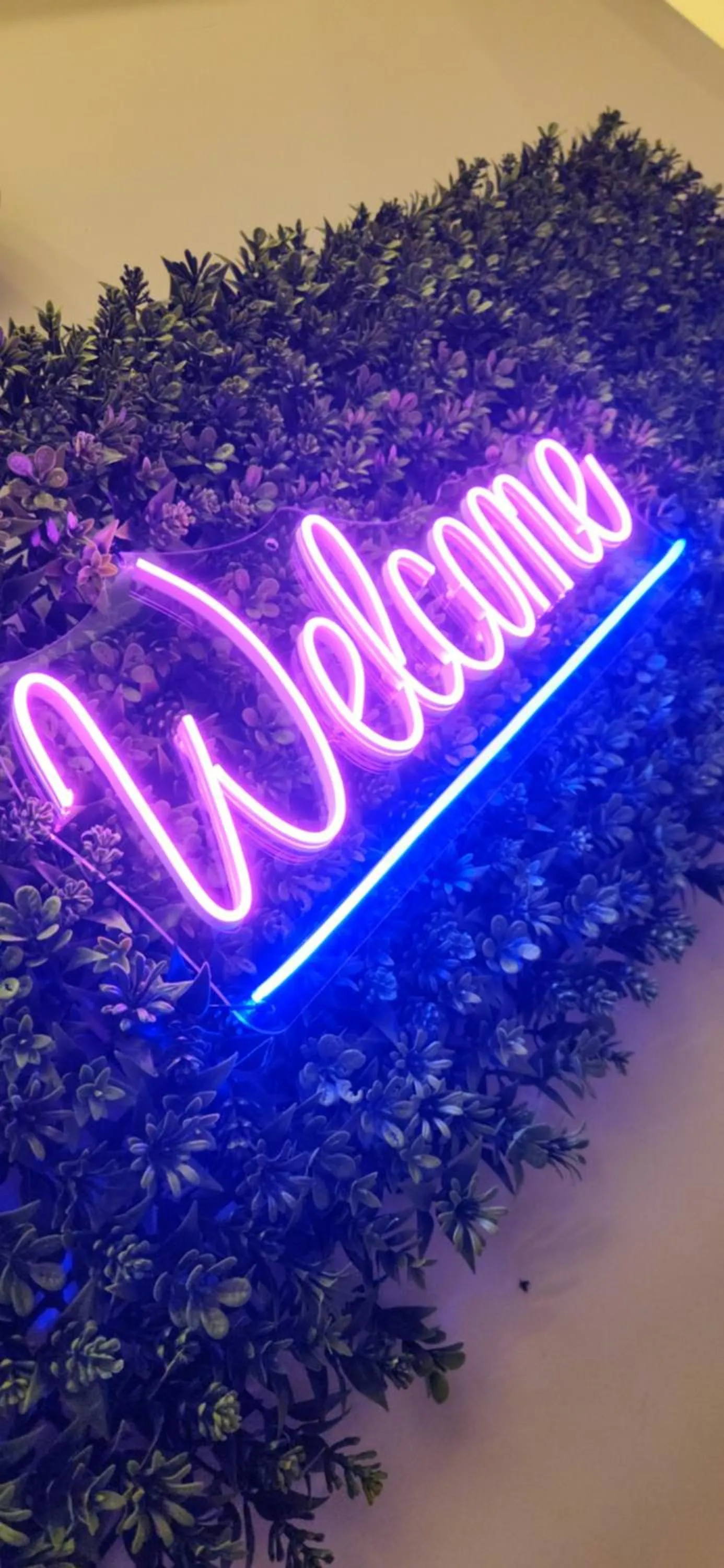 Shishly Palace Hotel