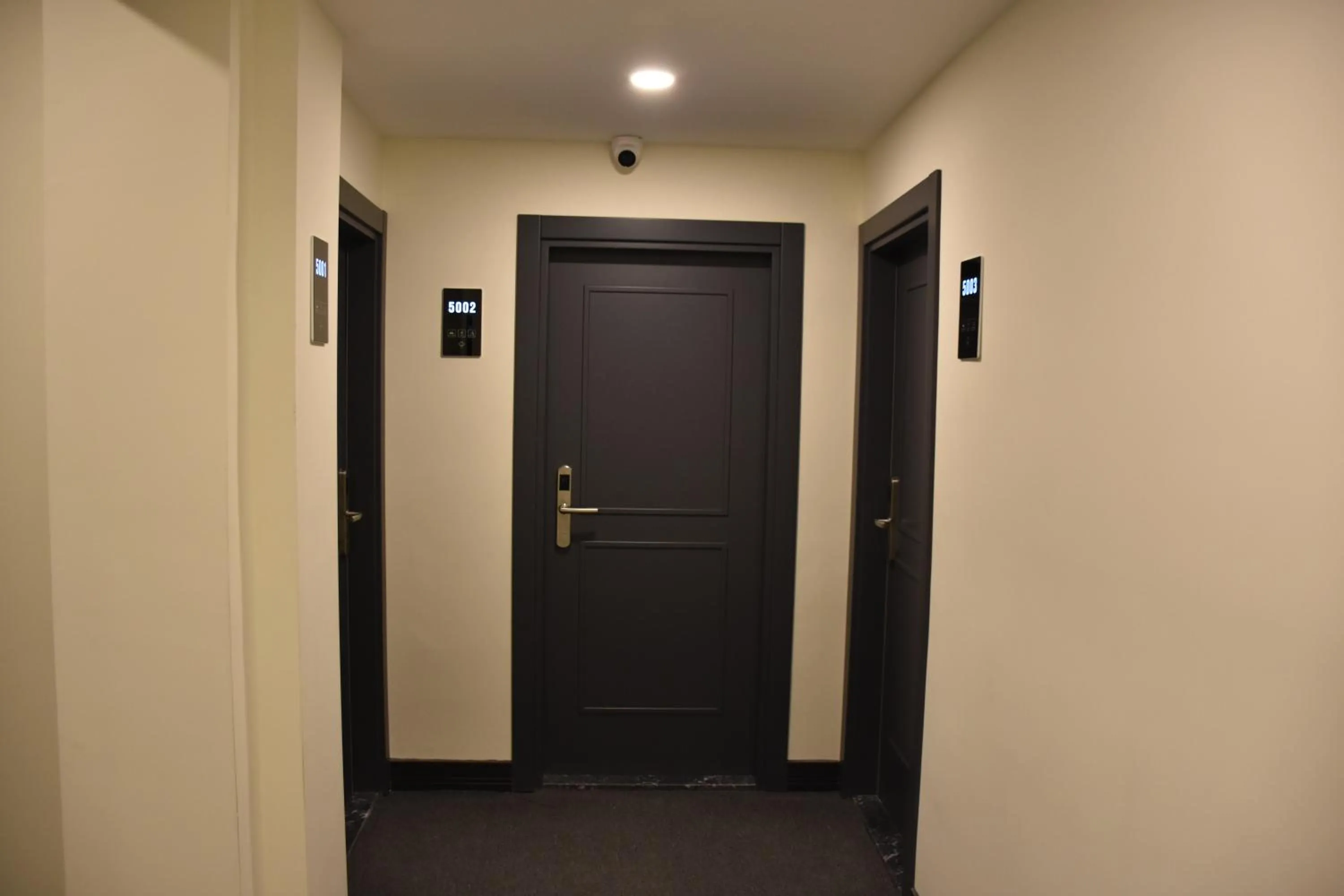 Property building in Shishly Palace Hotel