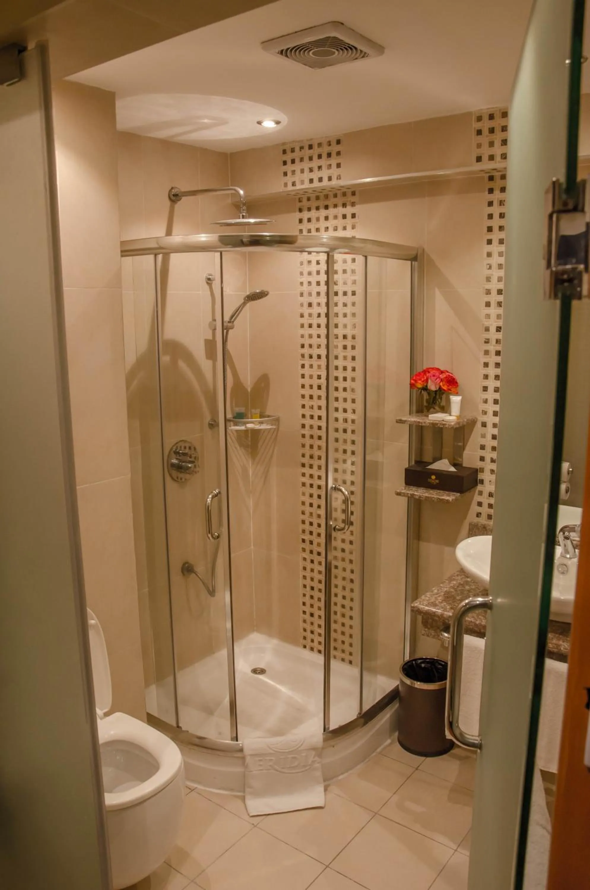 Shower in Best Western Plus Meridian Hotel