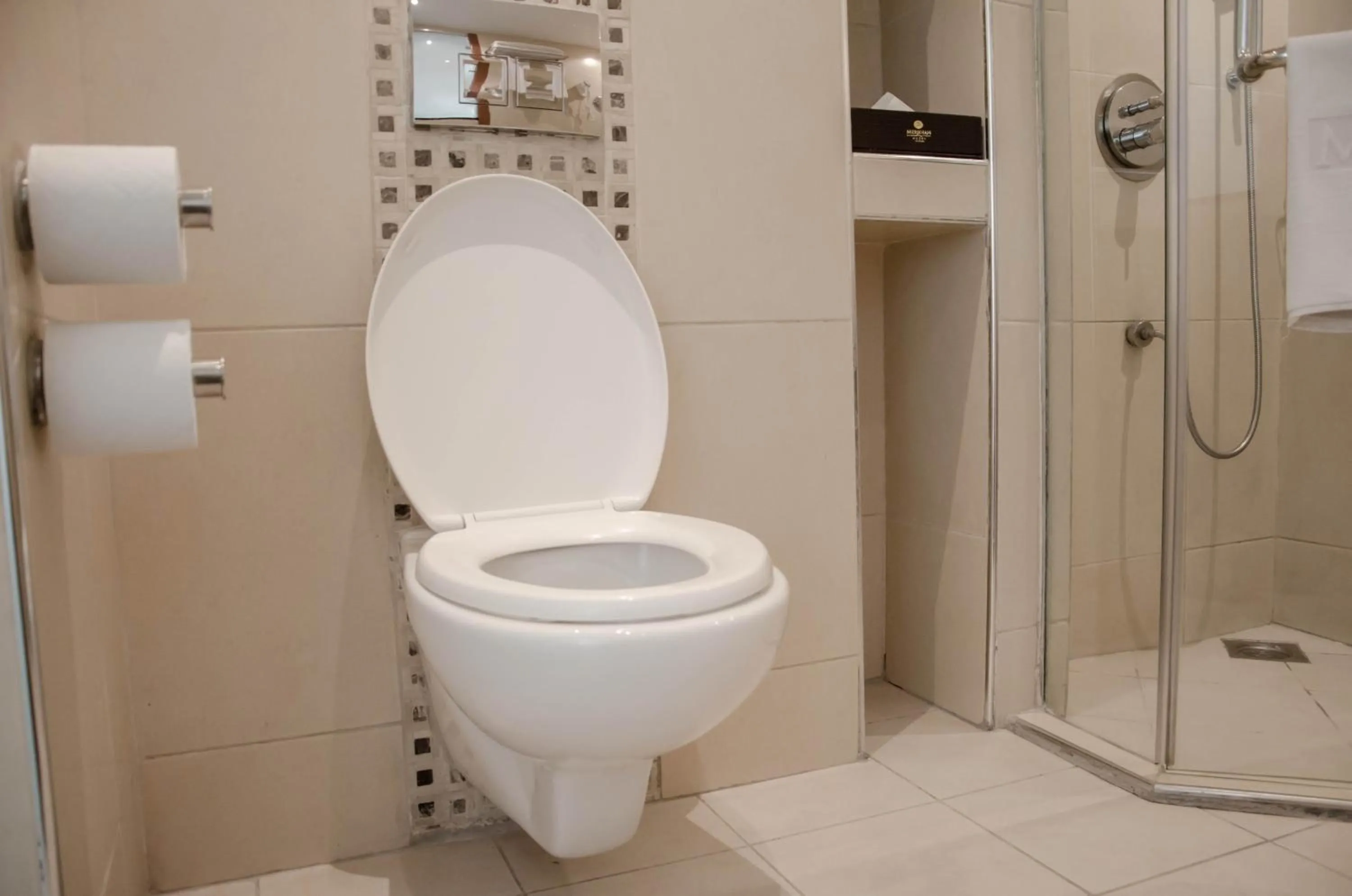 Toilet in Best Western Plus Meridian Hotel