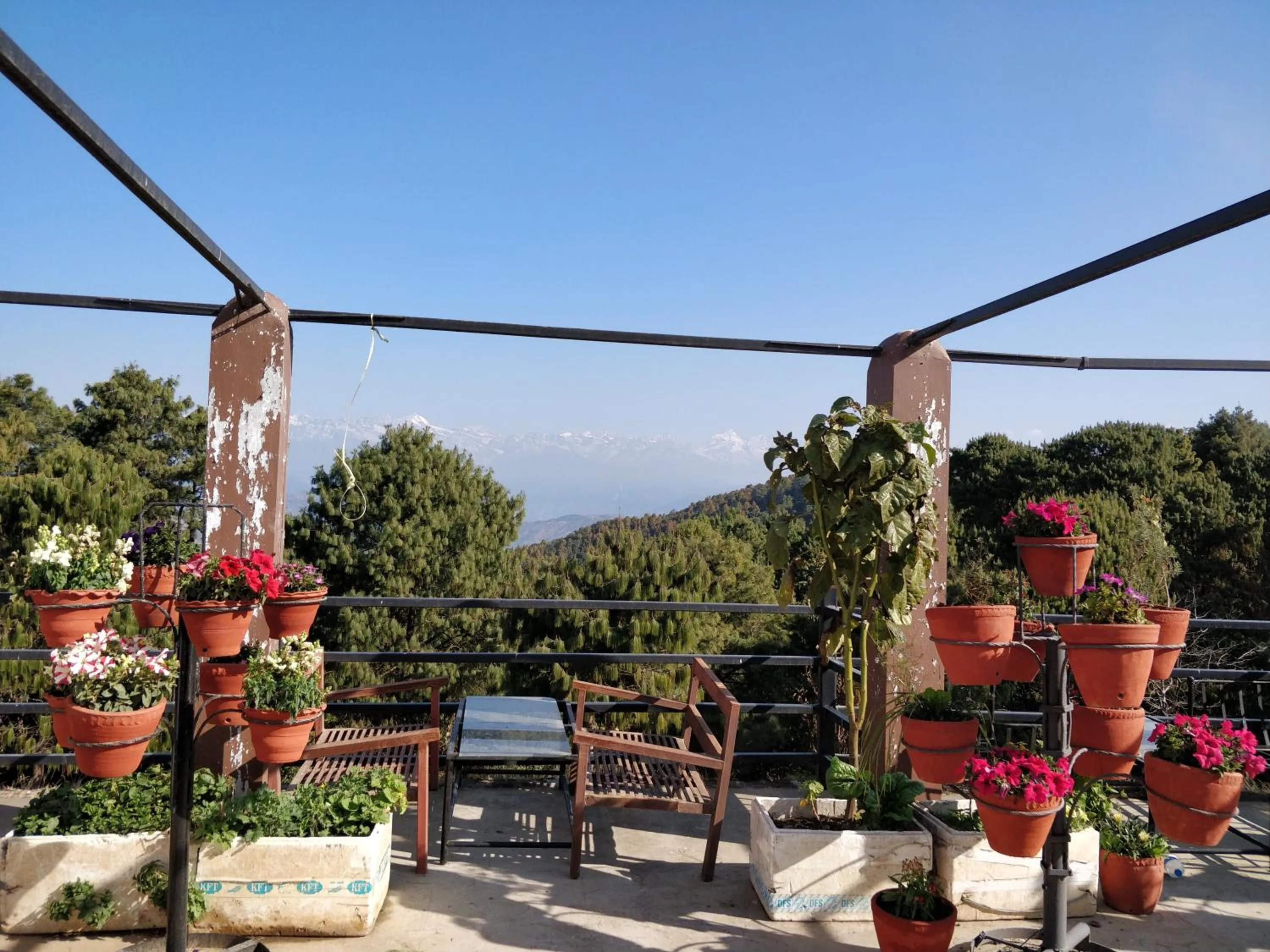 Langtang View Nagarkot Bed and Breakfast