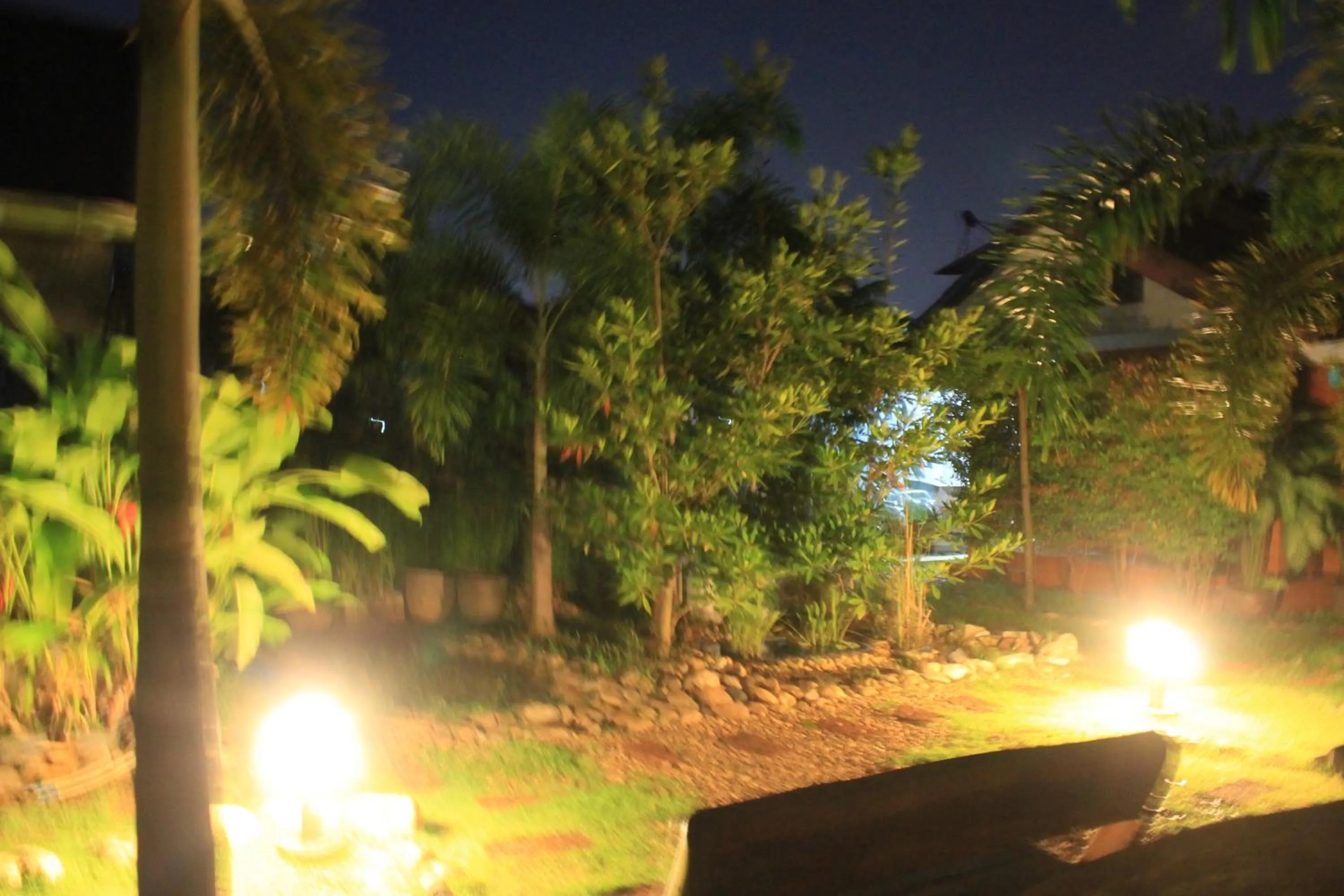 Garden view in Jim Guesthouse