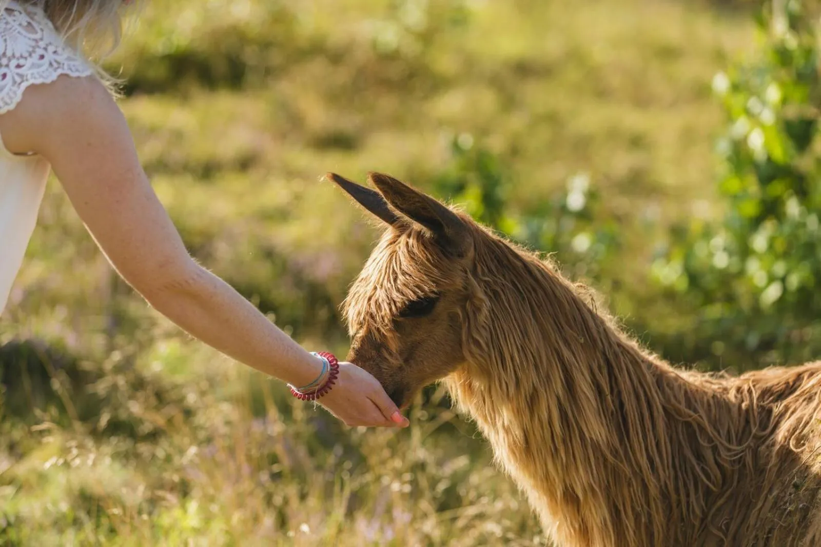 Day in The Valley x Wilsum