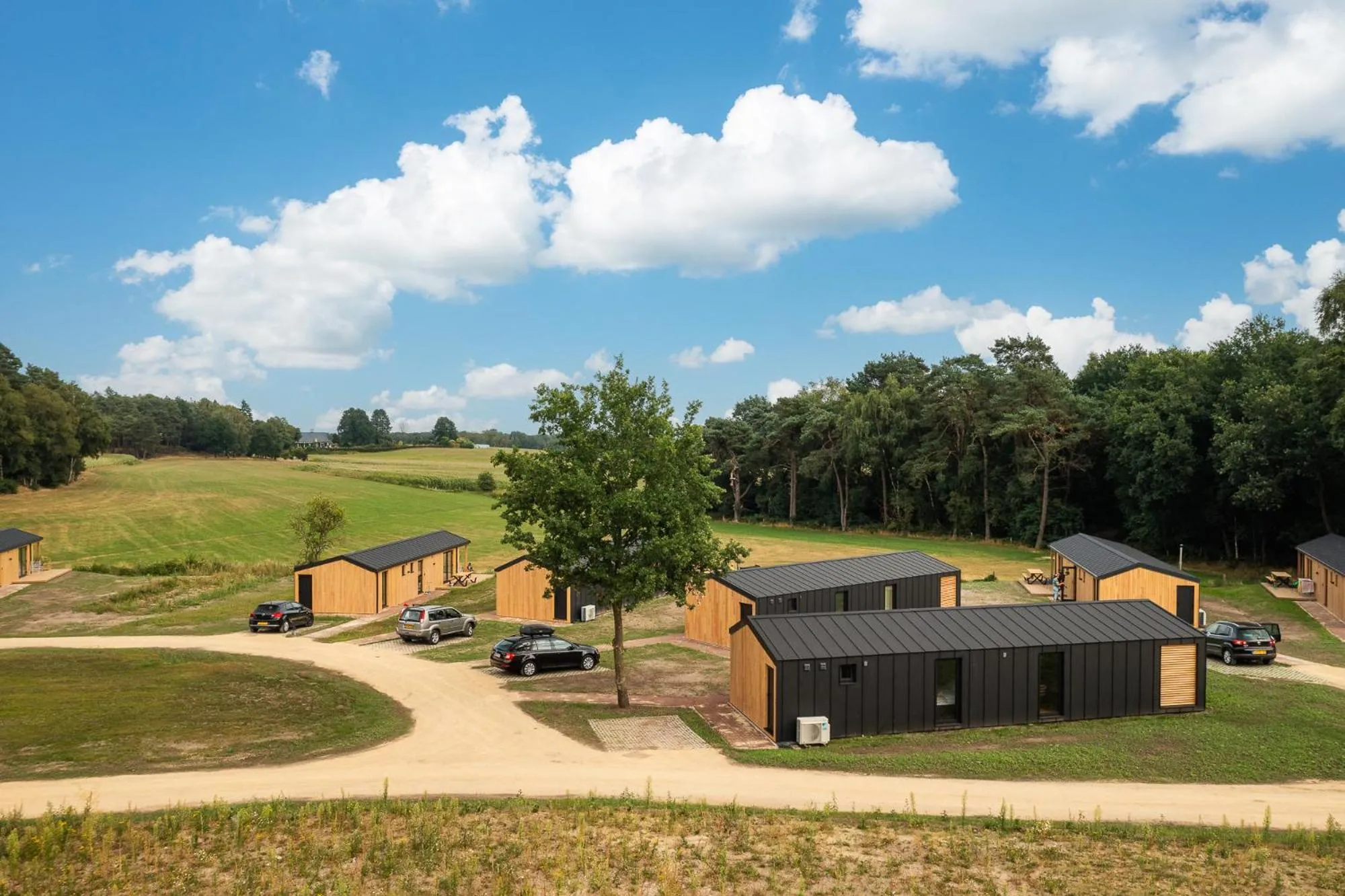 Spring in The Valley x Wilsum