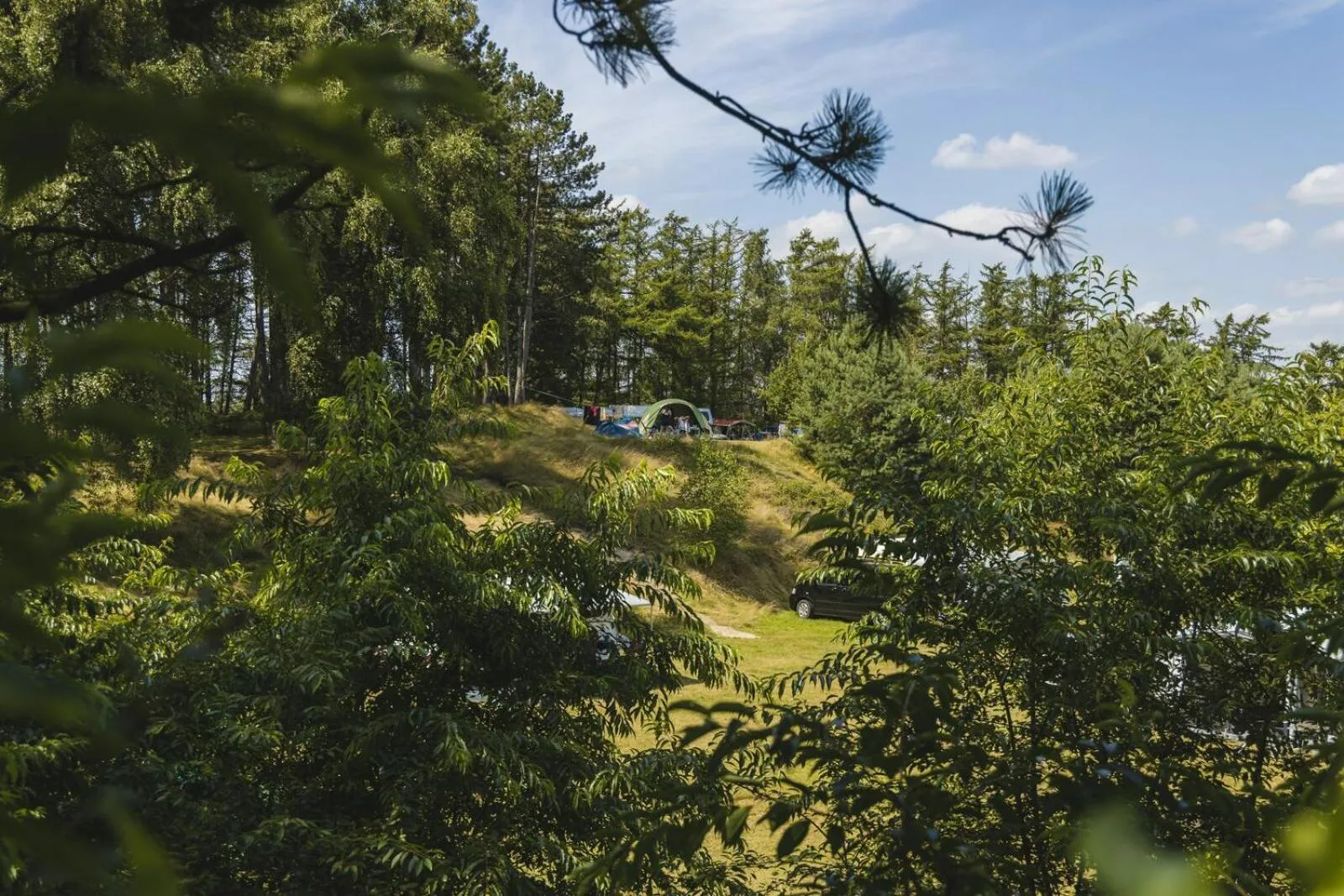 Spring in The Valley x Wilsum