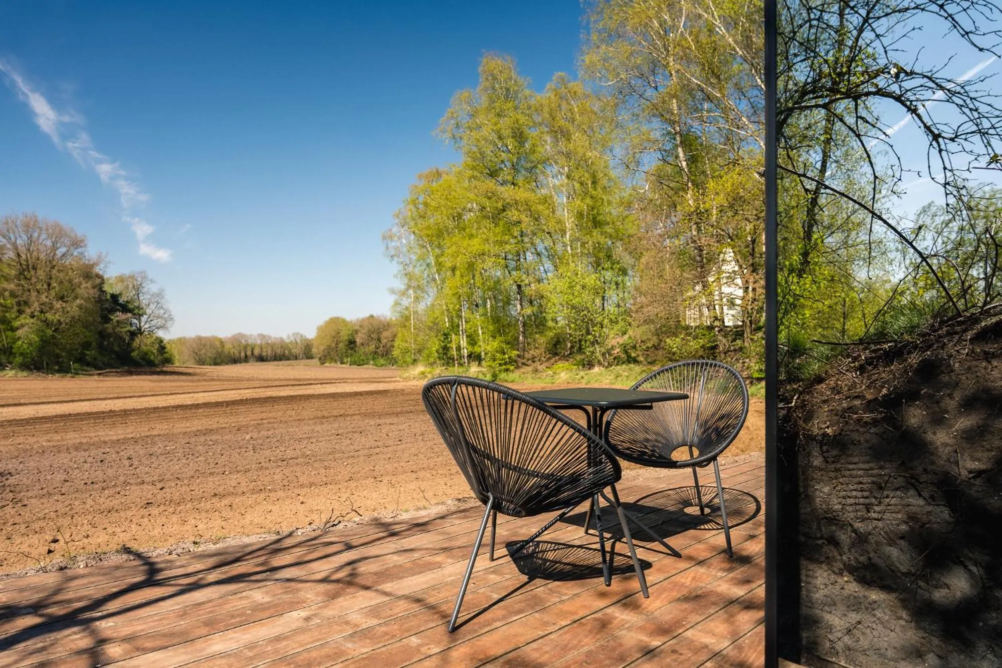 Day in The Valley x Wilsum