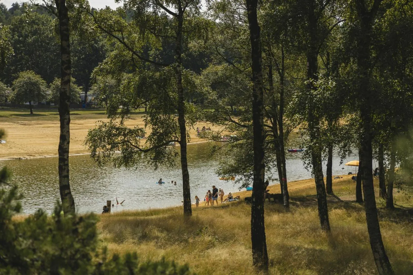 Spring in The Valley x Wilsum