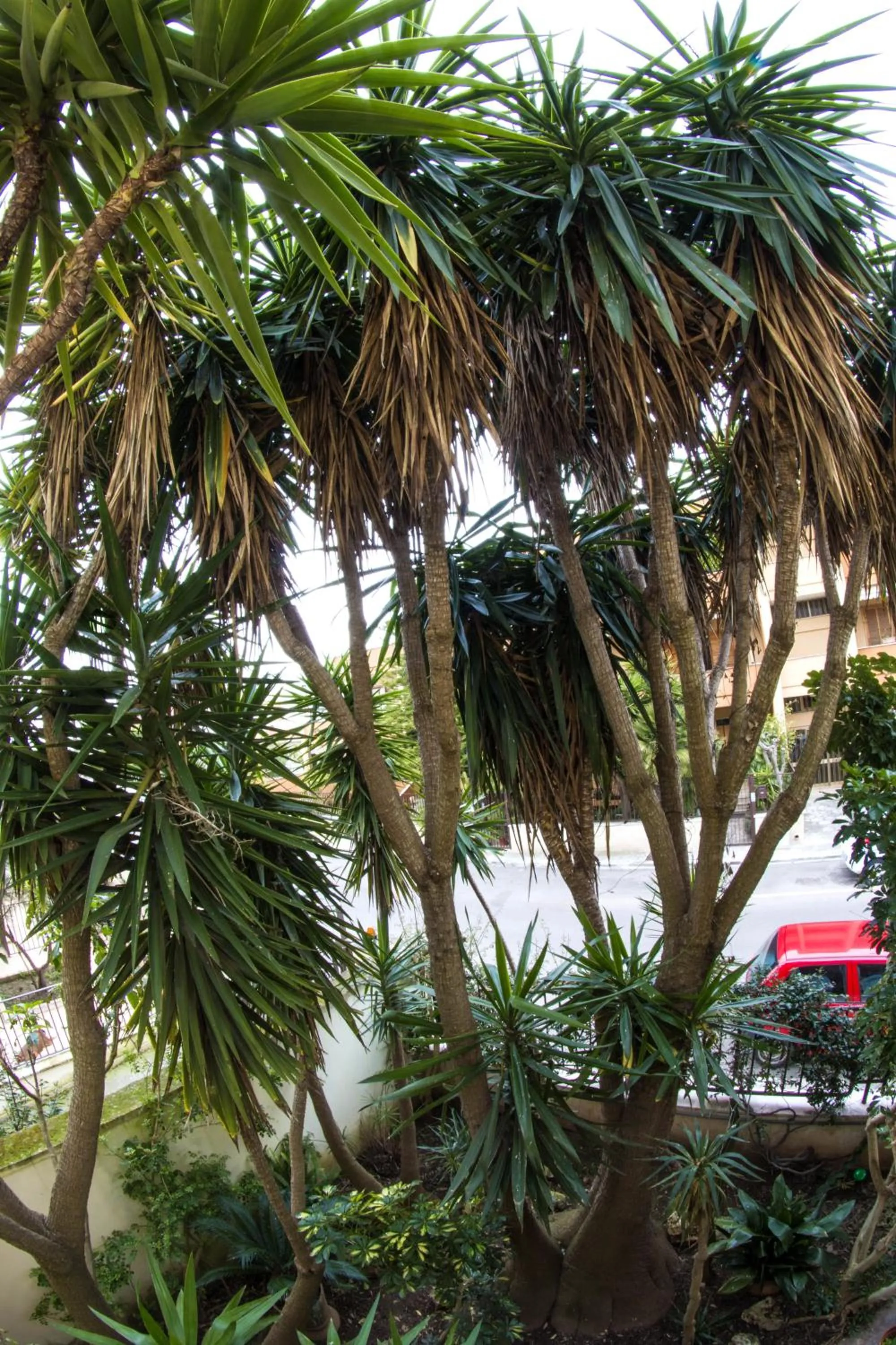 Facade/entrance in B&B Luxury