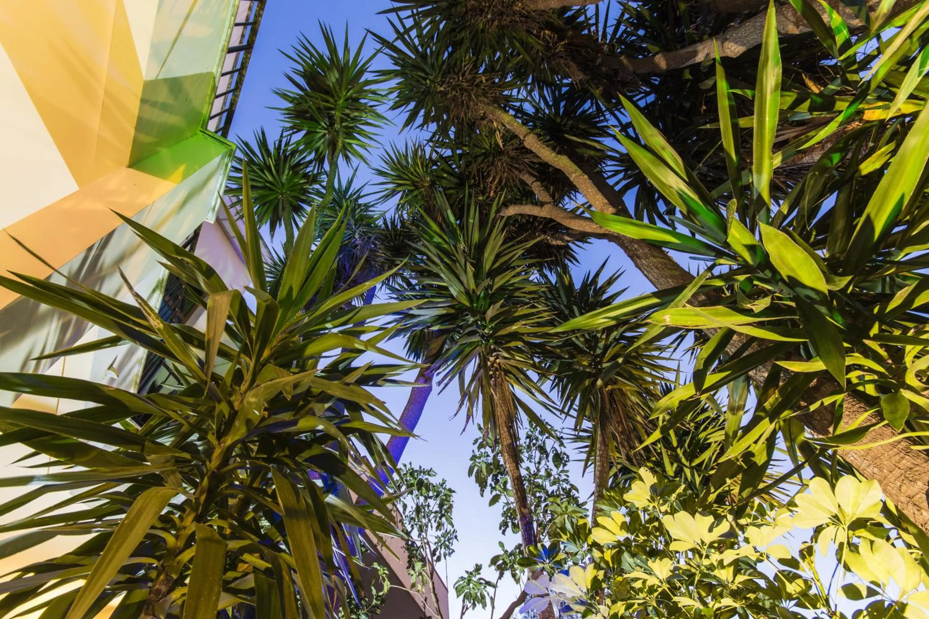 Decorative detail in B&B Luxury