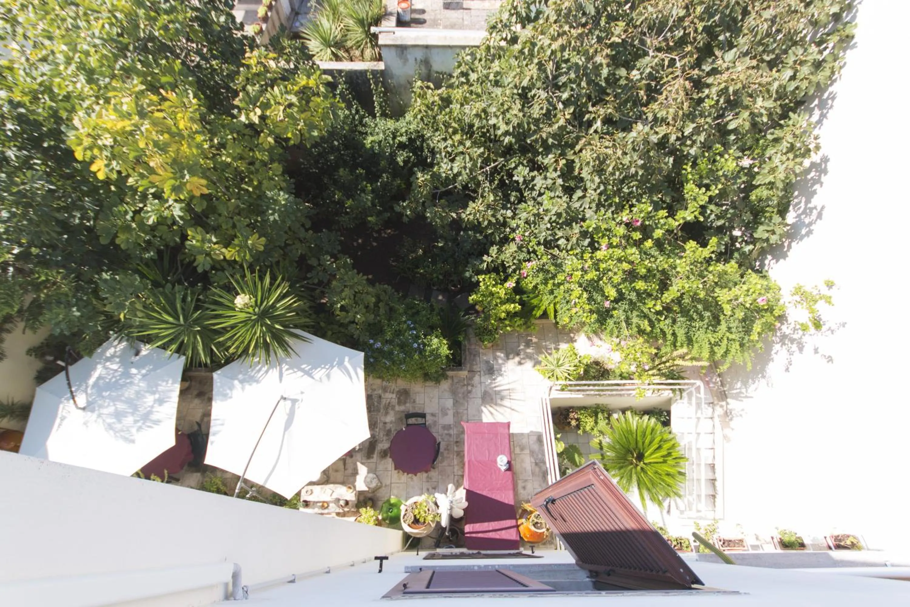 Garden in B&B Luxury