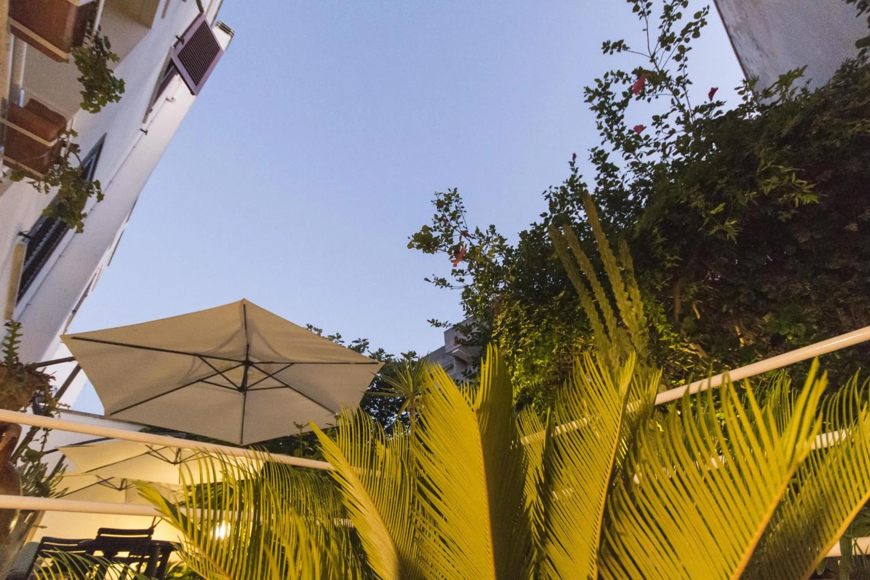 Garden in B&B Luxury