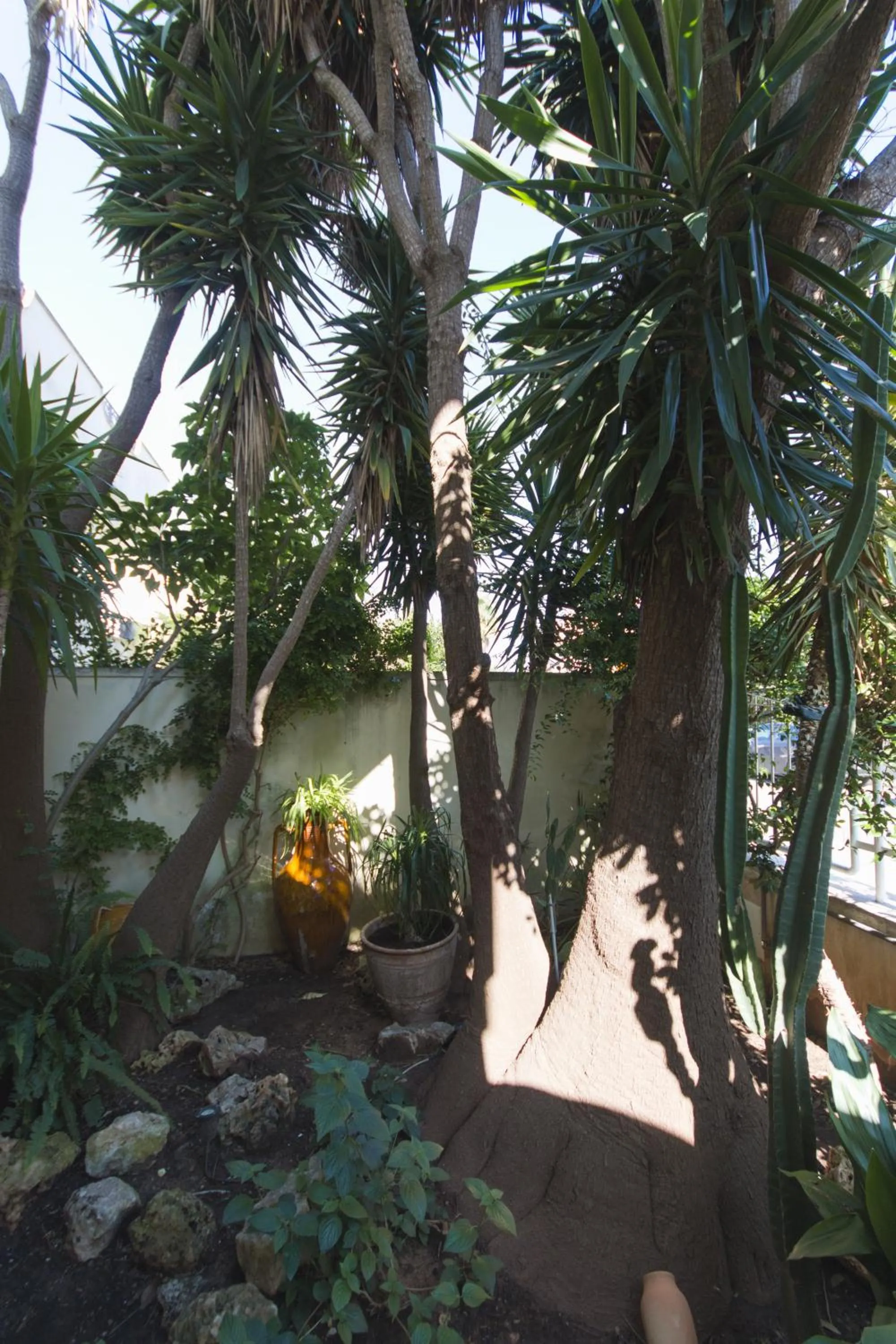 Garden view in B&B Luxury