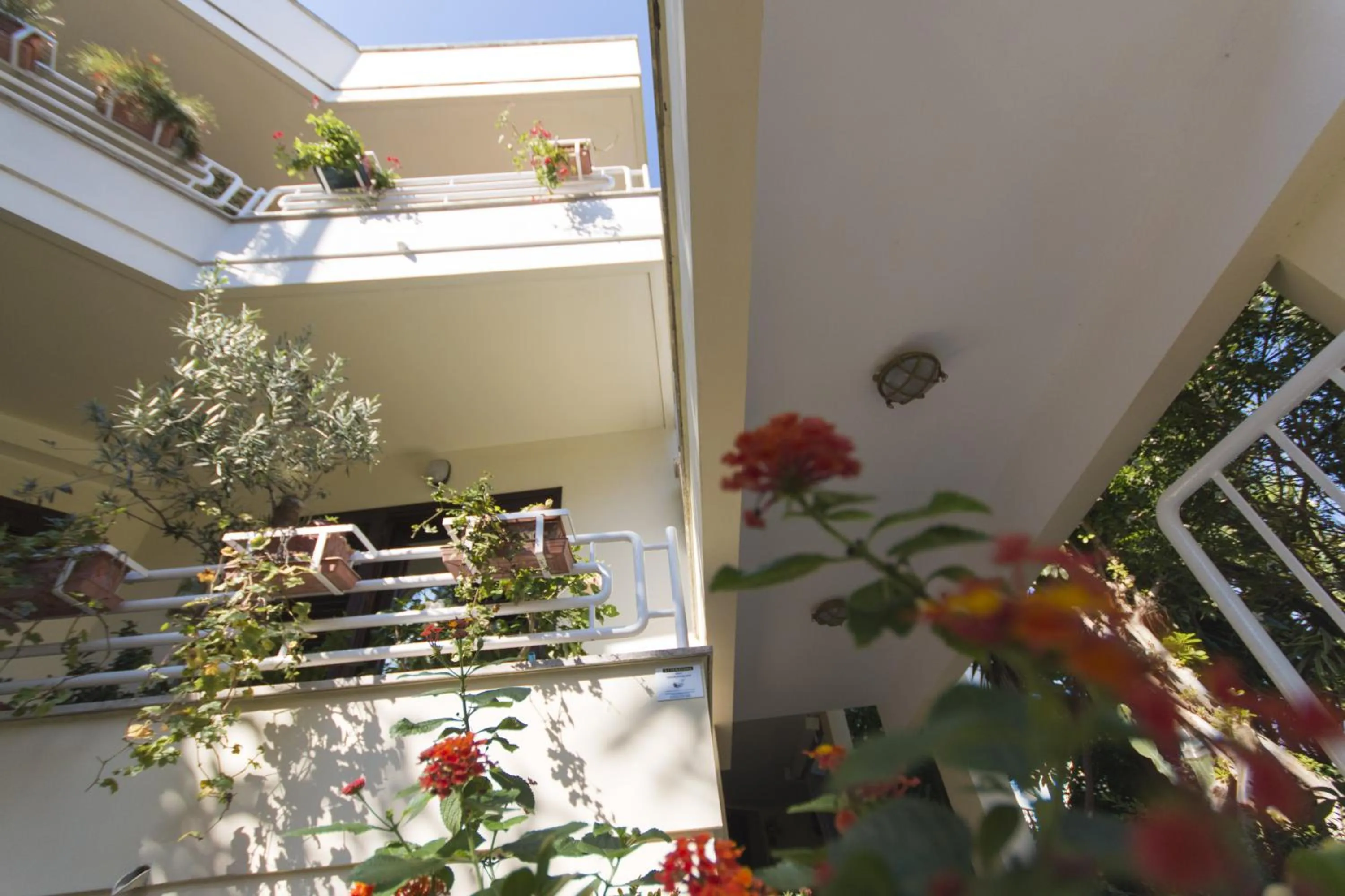 Garden view in B&B Luxury