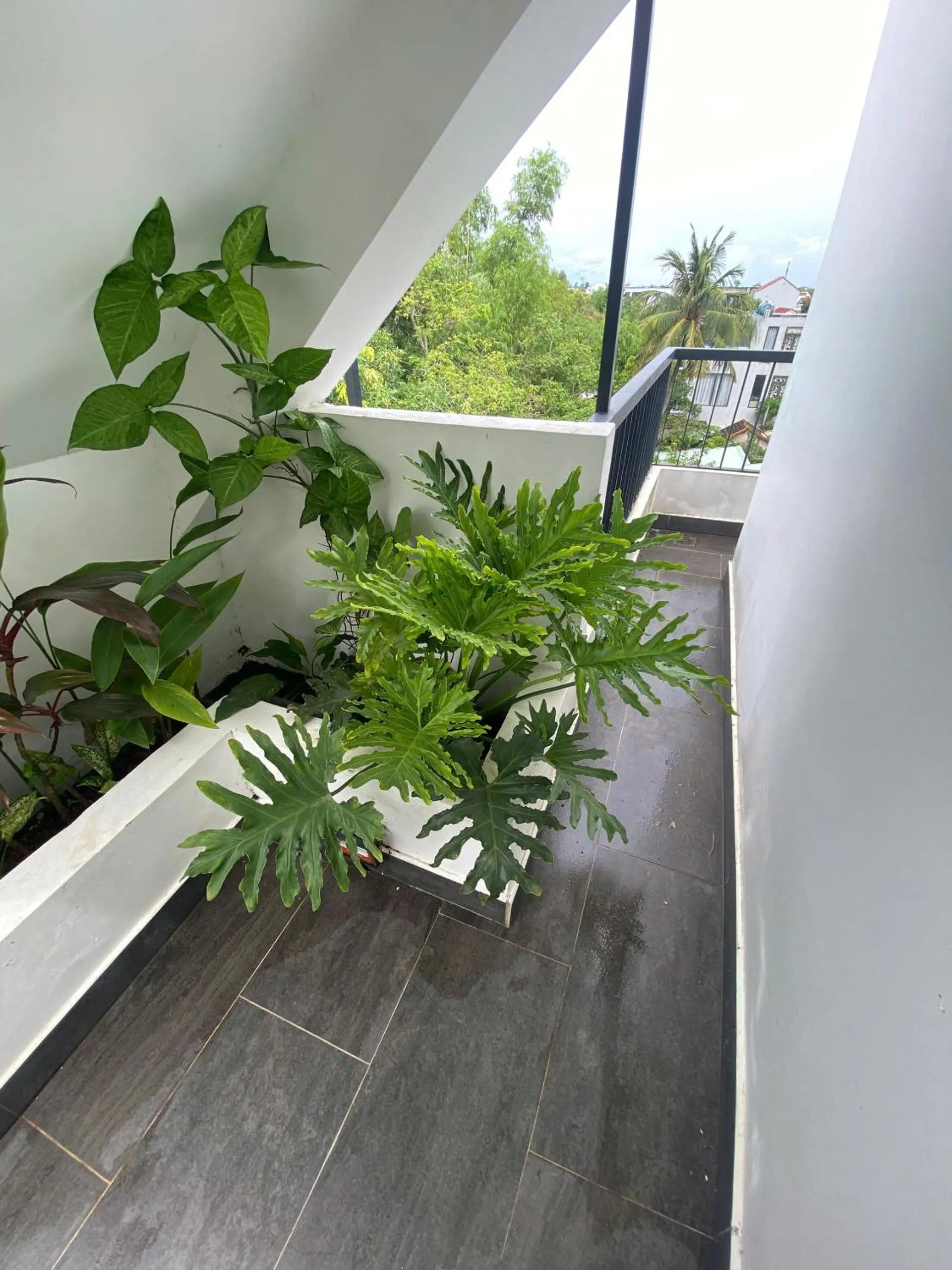 Garden in Charm Champion Villa Hoian