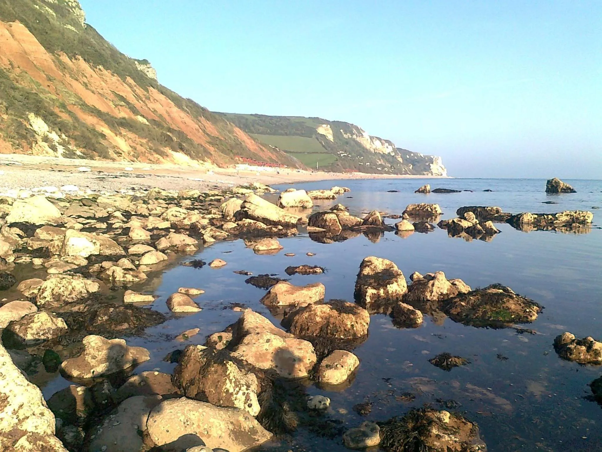 Activities in Courtbrook Farm