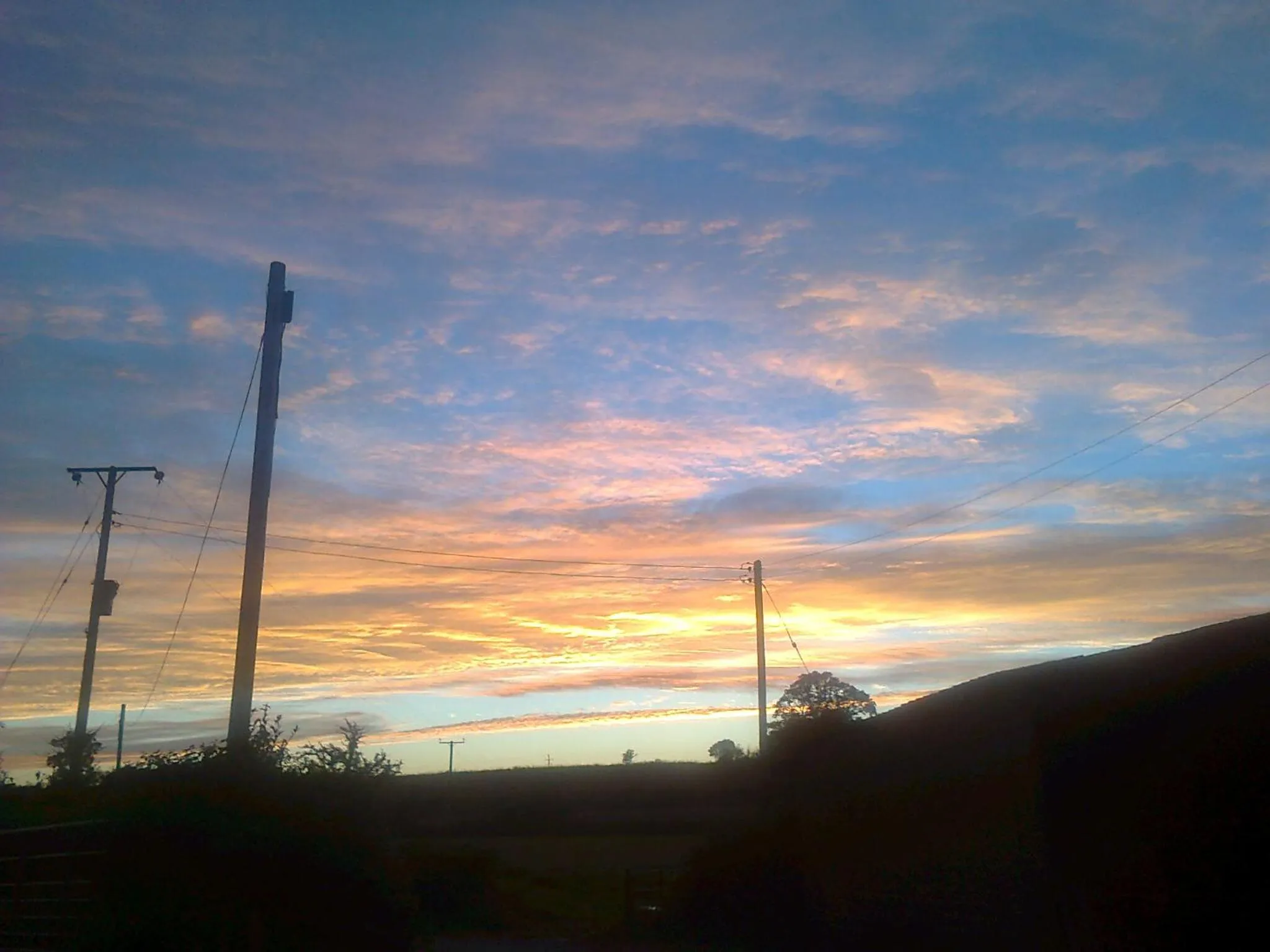 Activities in Courtbrook Farm