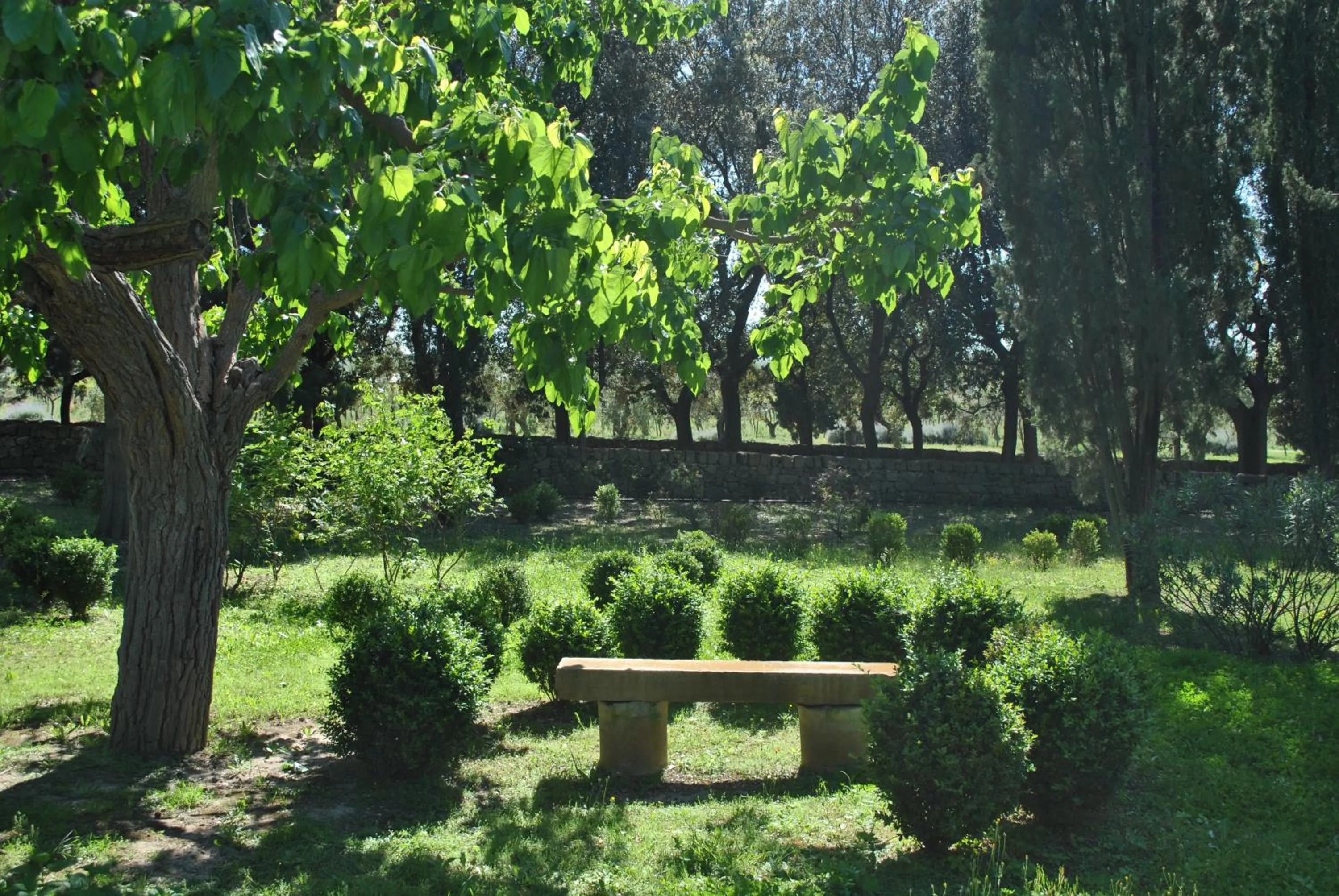 Spring in Cefalicchio B&B