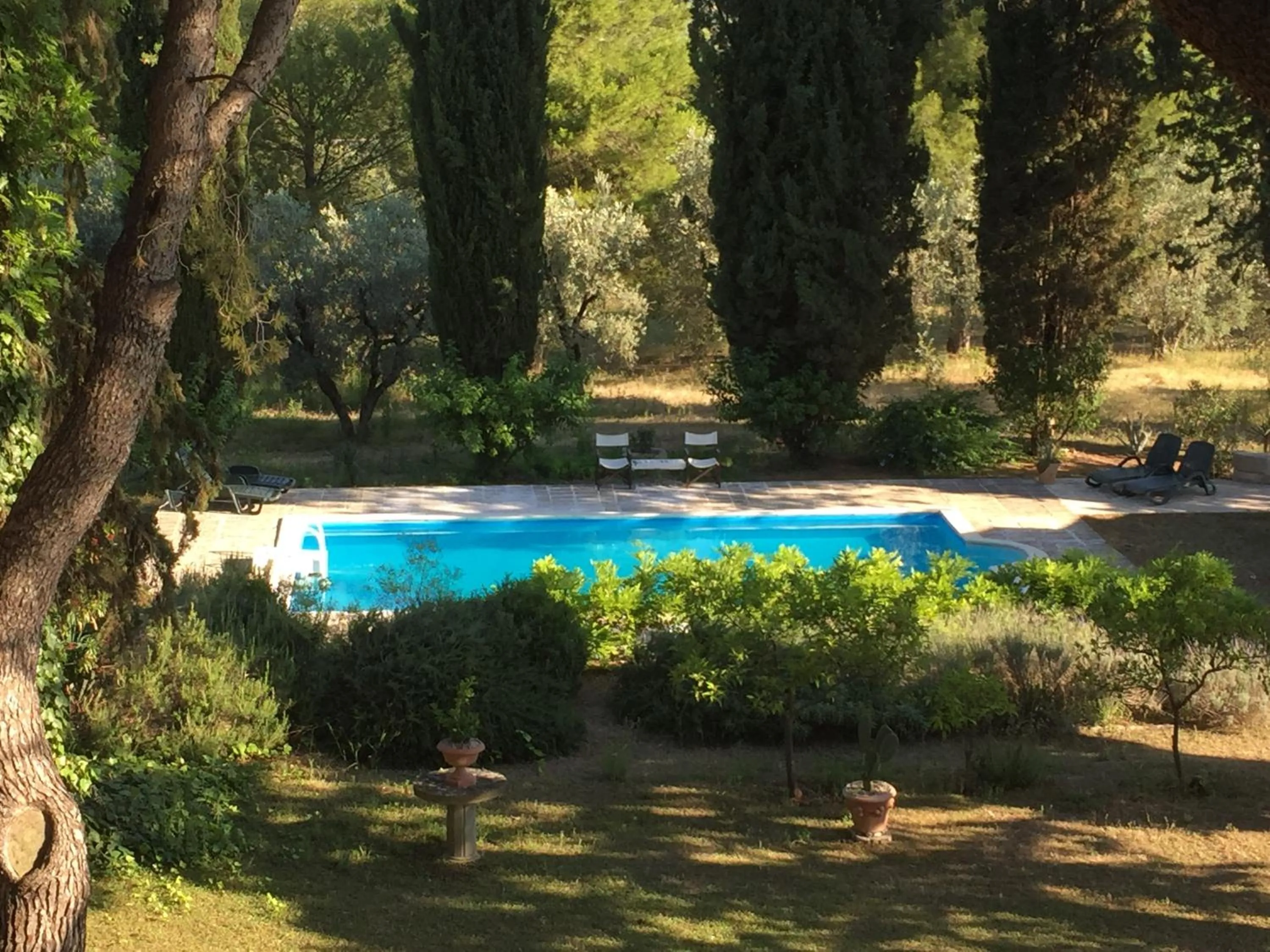 Summer in Cefalicchio B&B