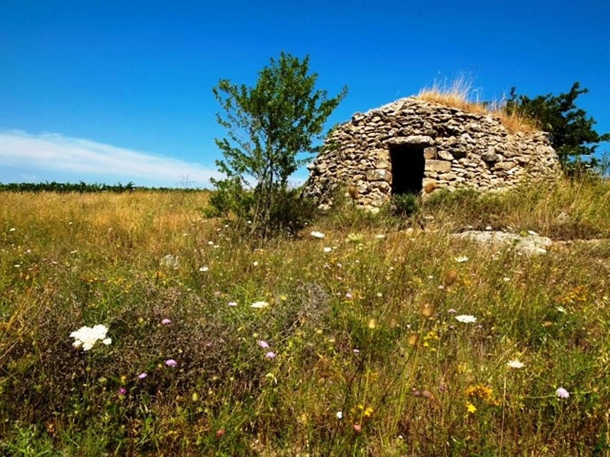 Day in Cefalicchio B&B