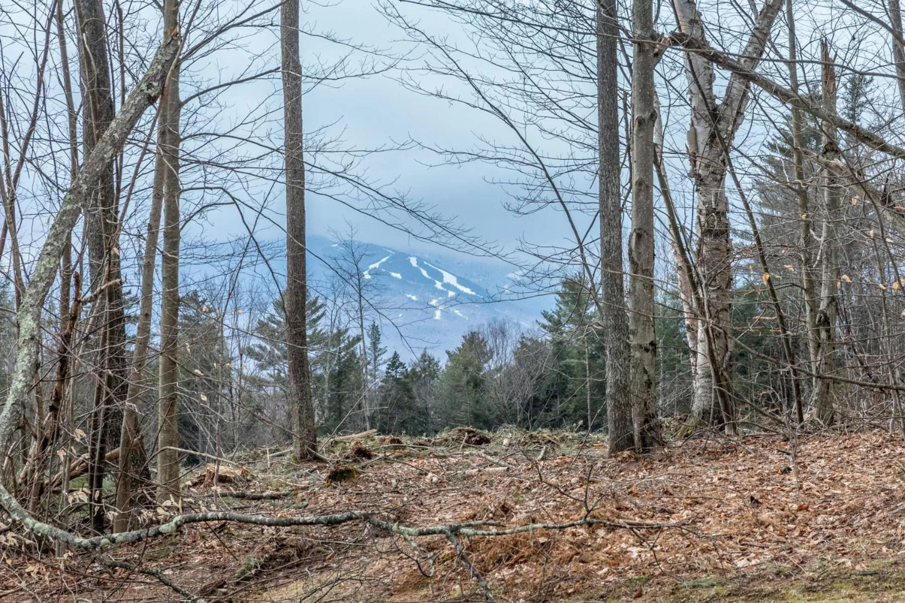 Natural landscape in Mountainside at Stowe by CoolVacay