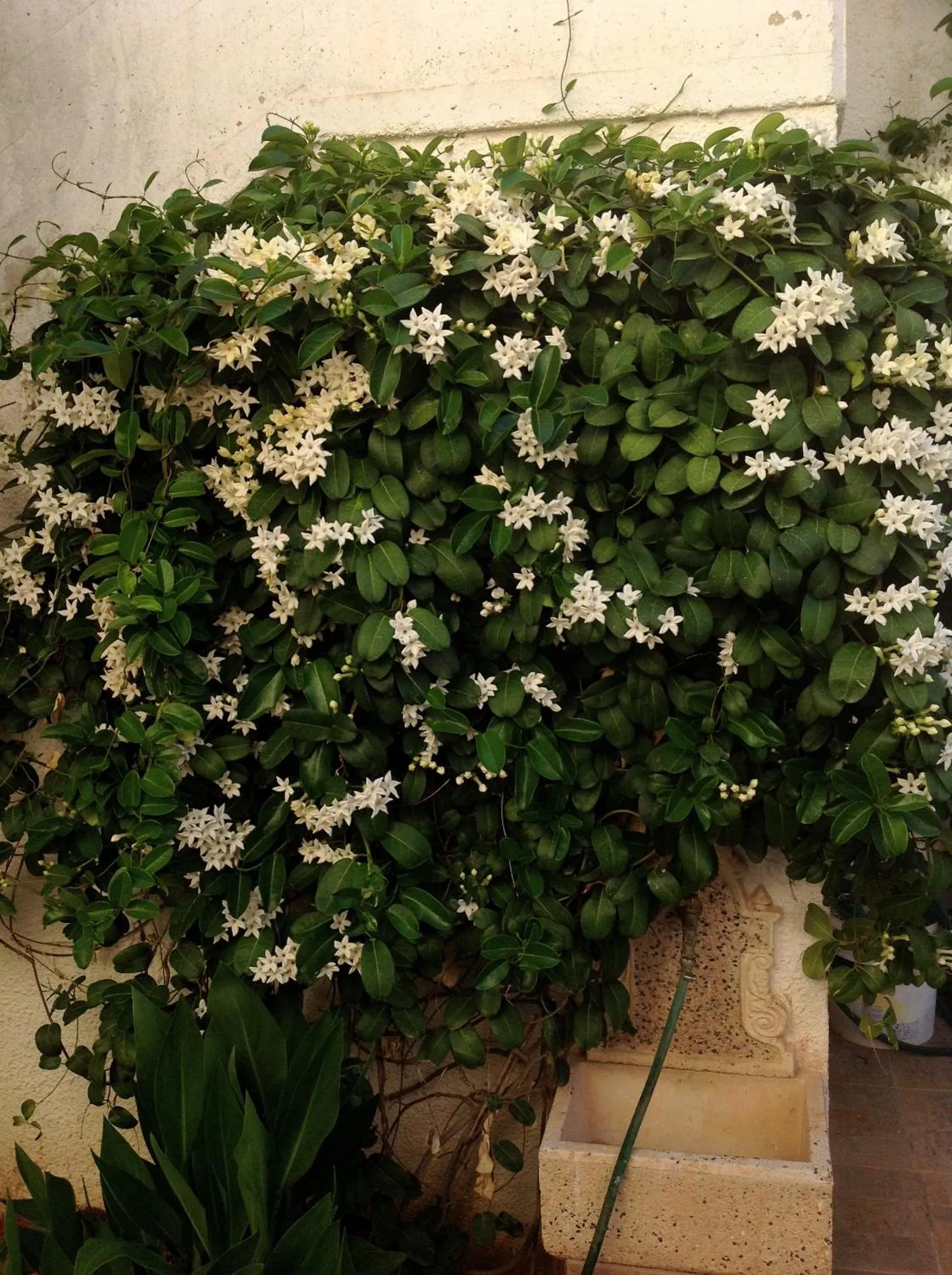 Facade/entrance in B&B Chiedi la Luna