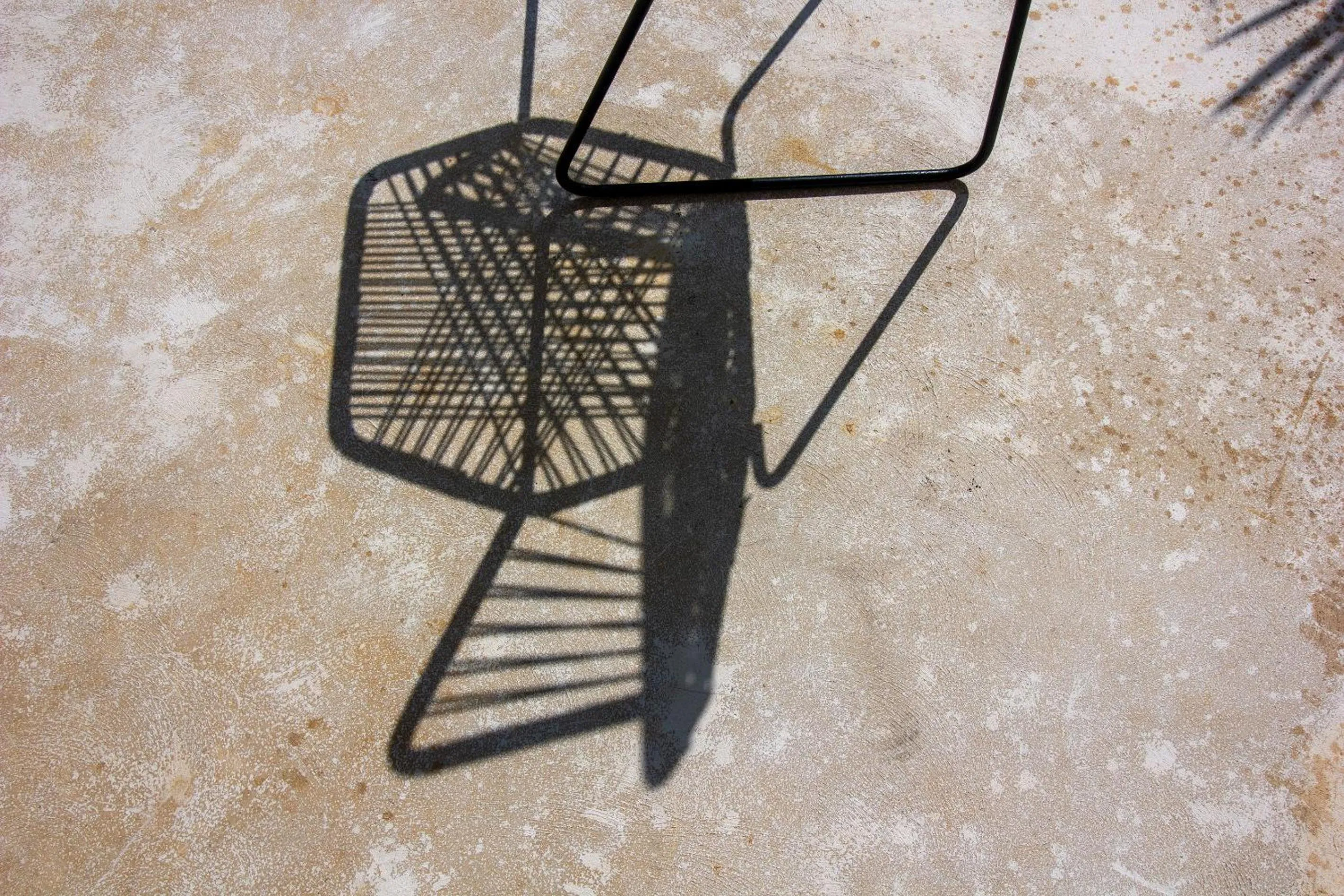 Garden in Casa Magu Merida