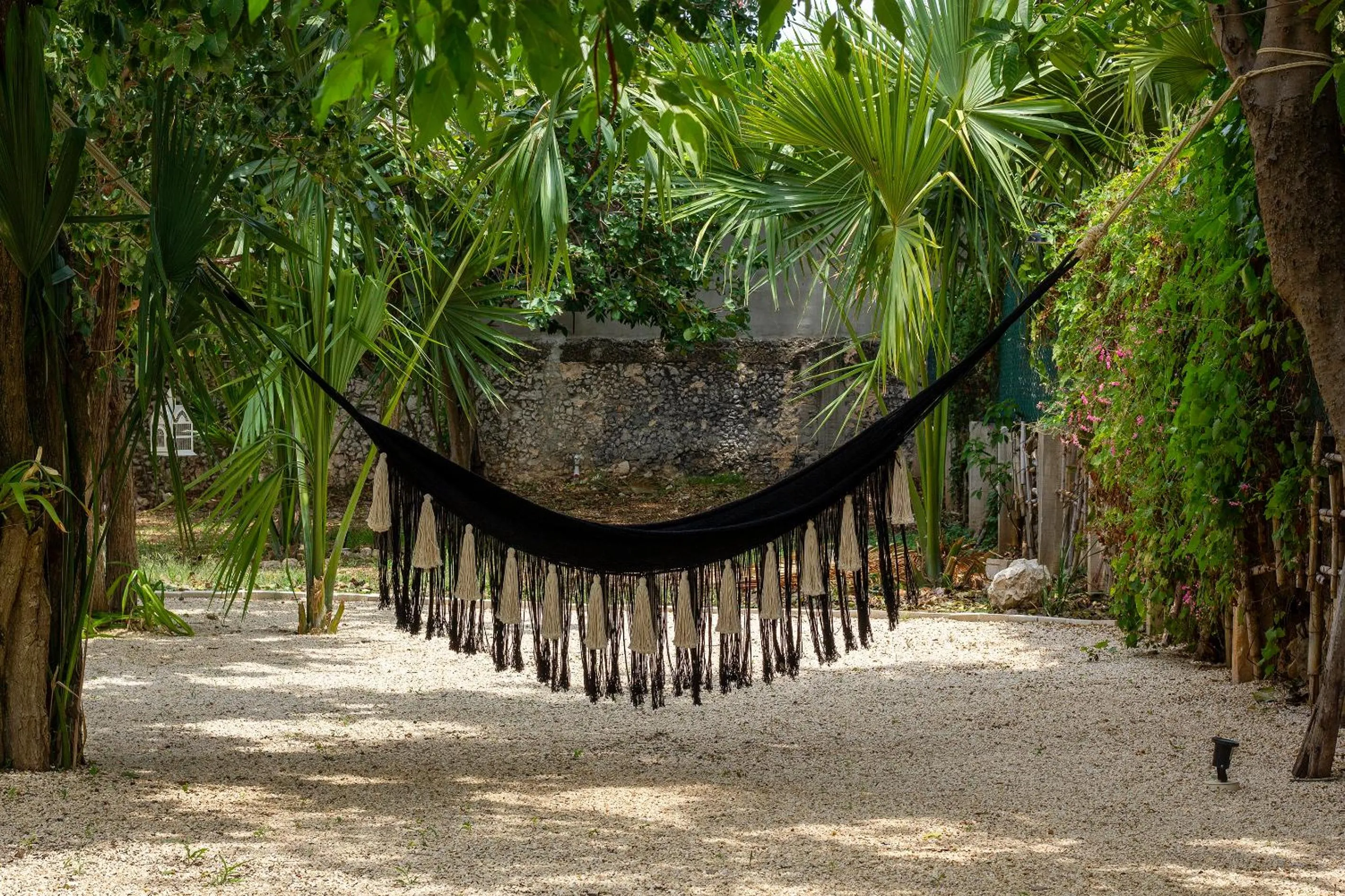 Natural landscape in Casa Magu Merida