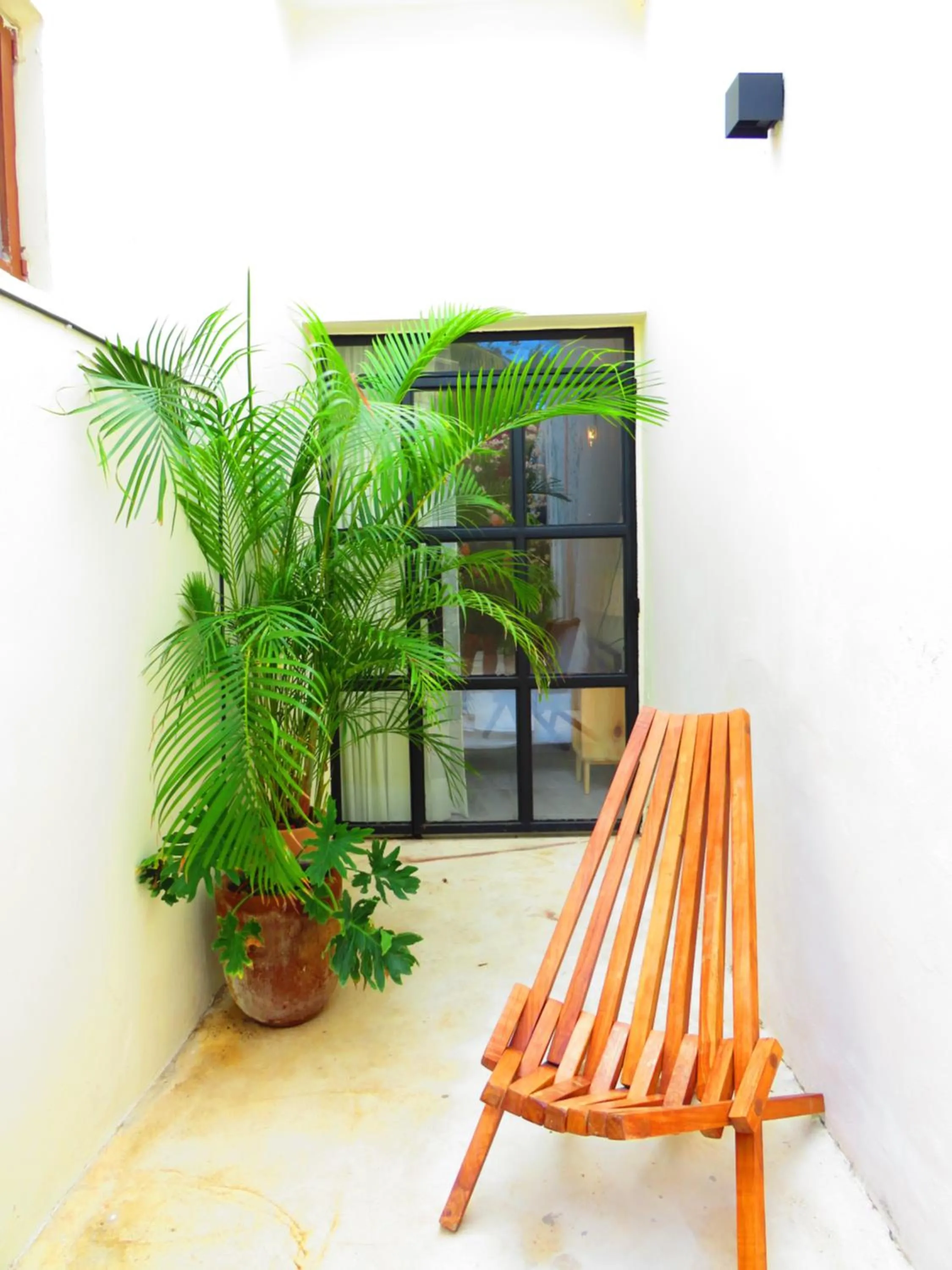 Garden in Casa Magu Merida