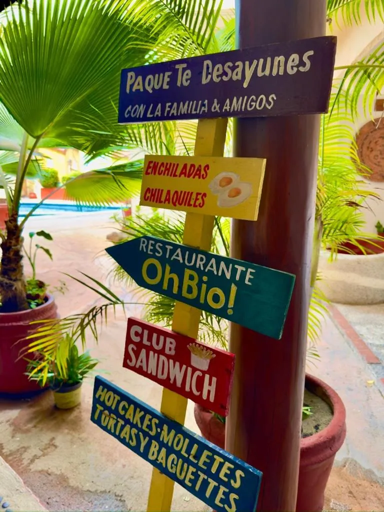 Restaurant/places to eat in Hotel Zihuatanejo Centro