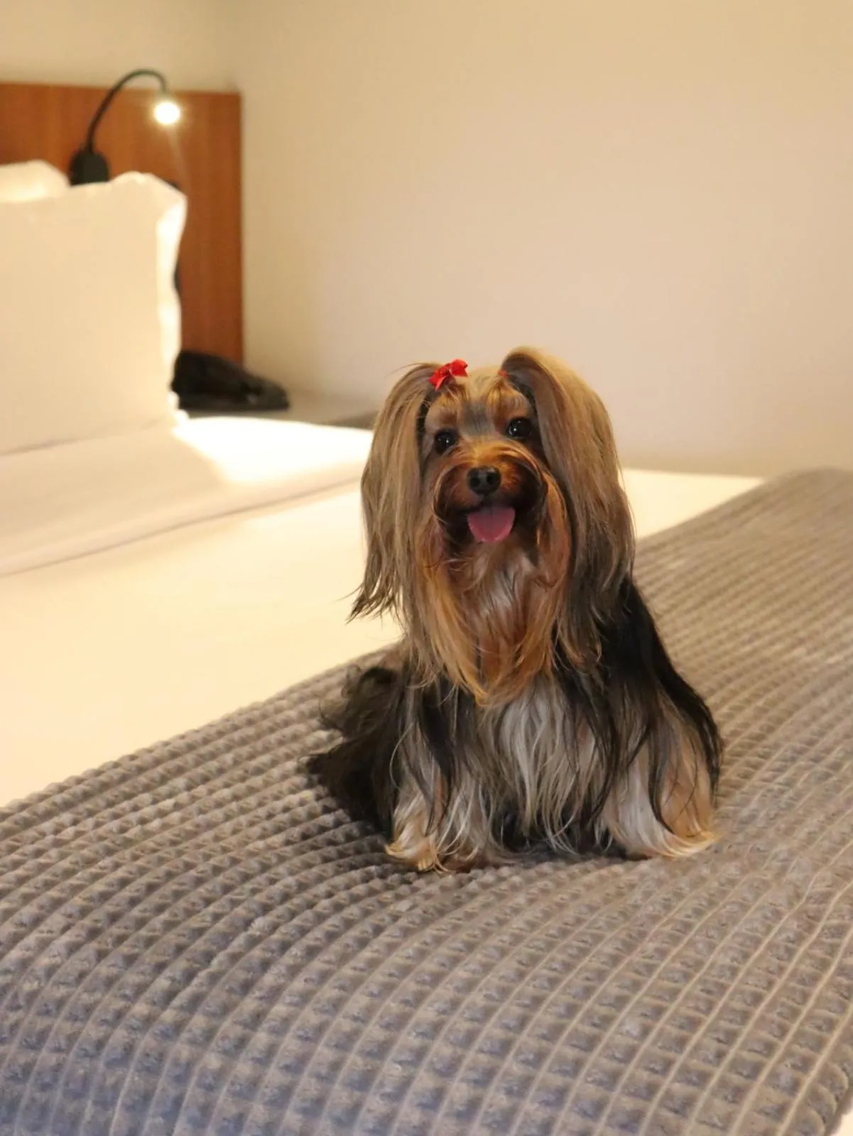 Bed in 249 DESIGN HOTEL