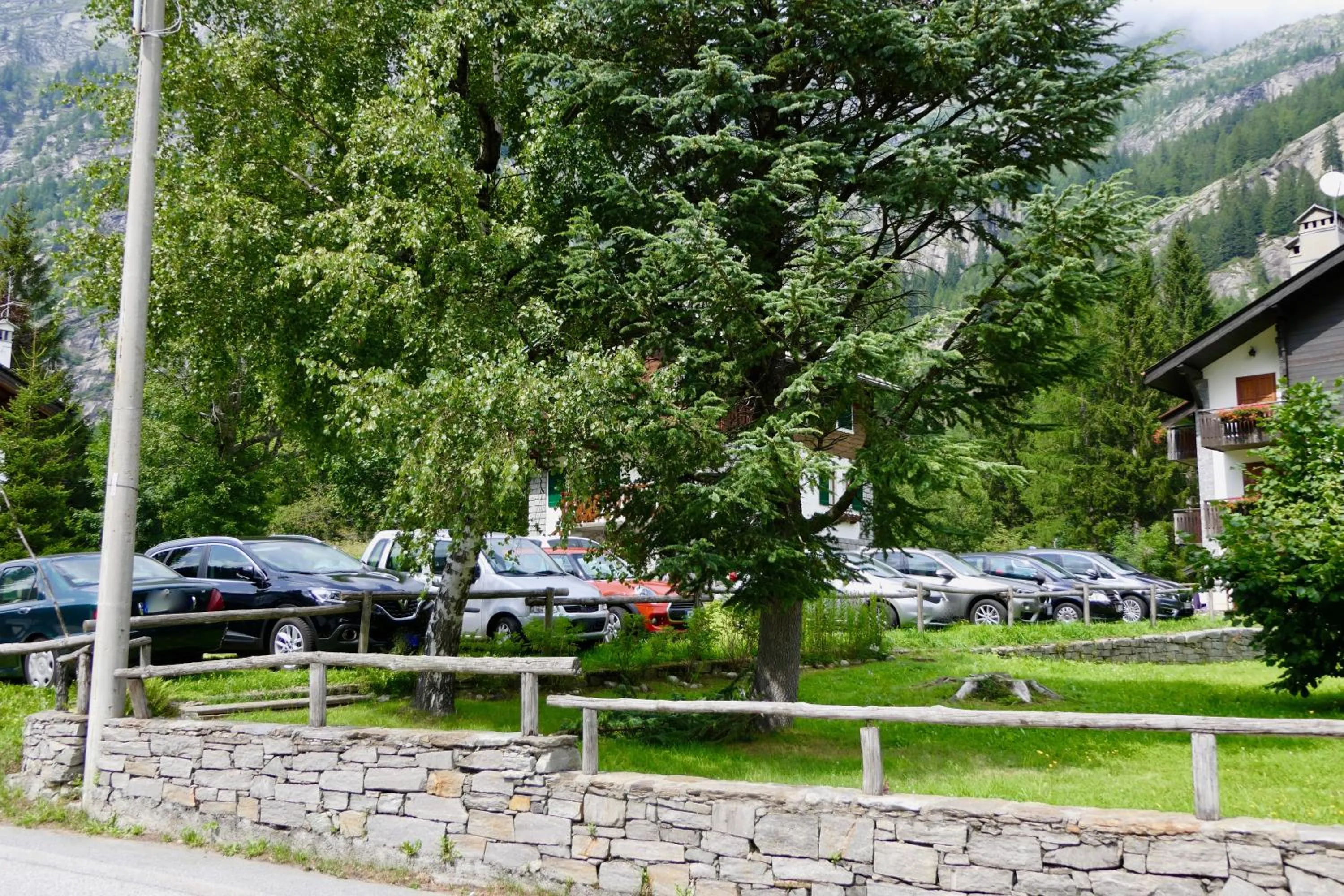 Other in Dream Hotel