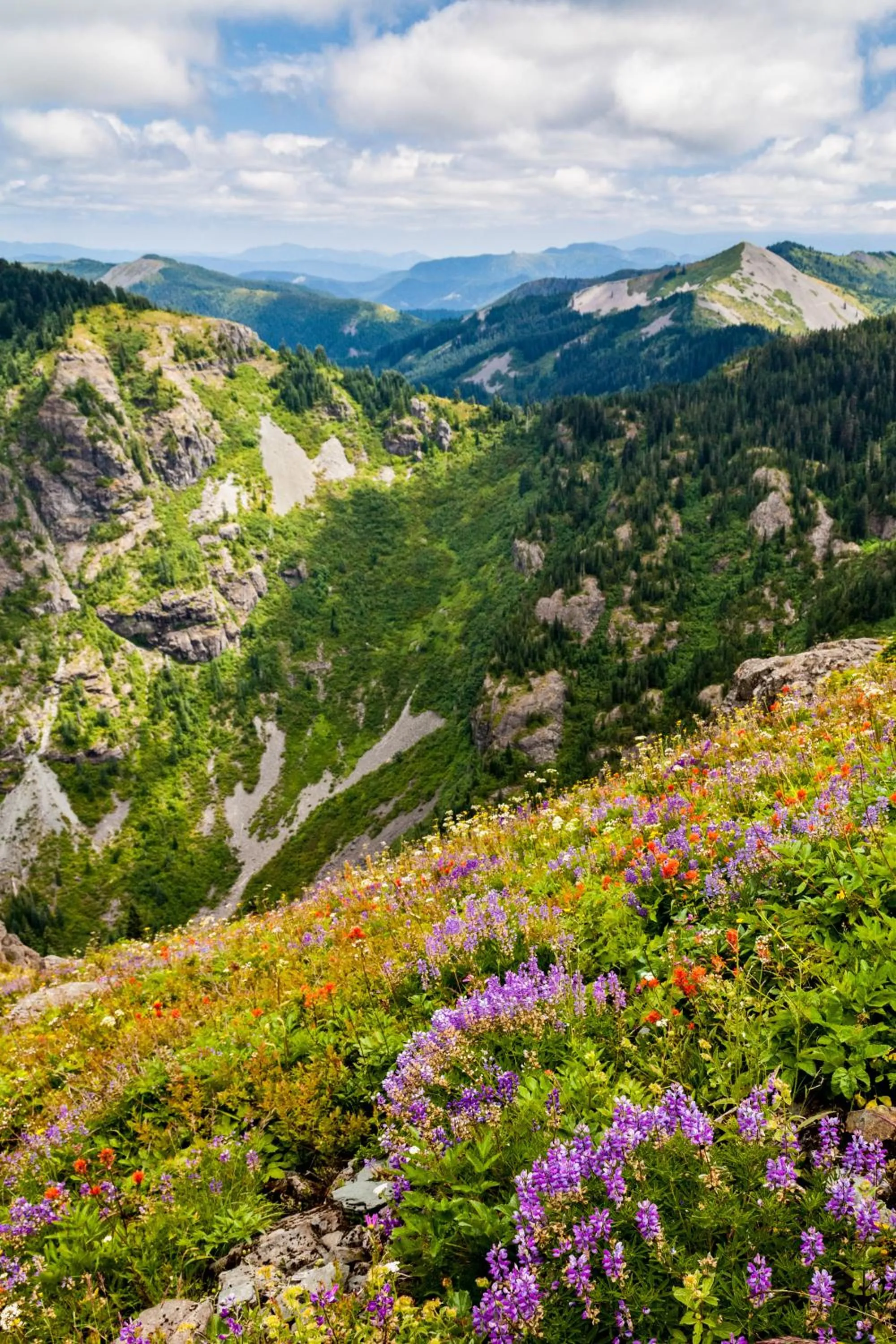 Activities in Heaven's Haven