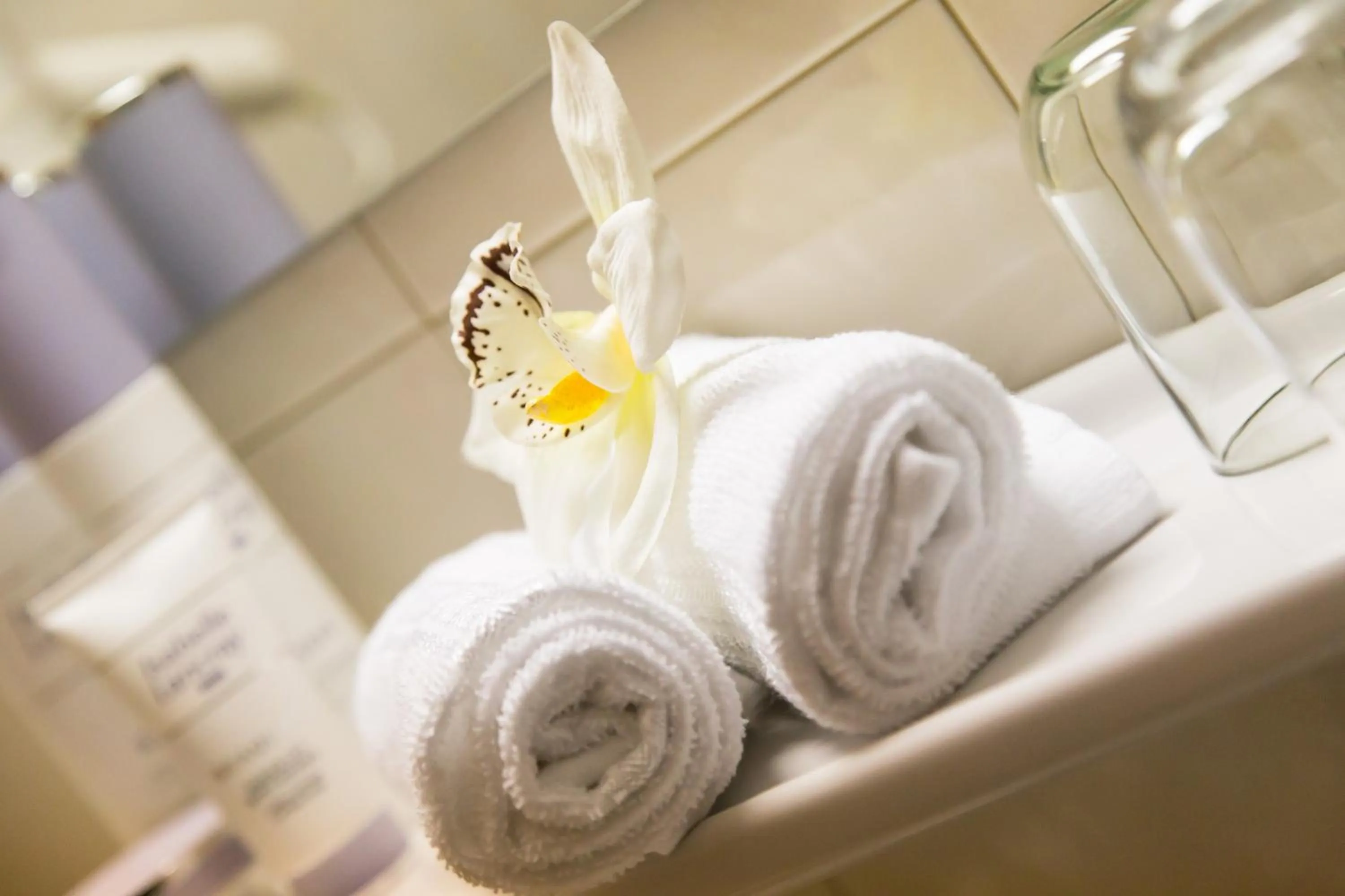 Bathroom in Hotel Garni Katnau