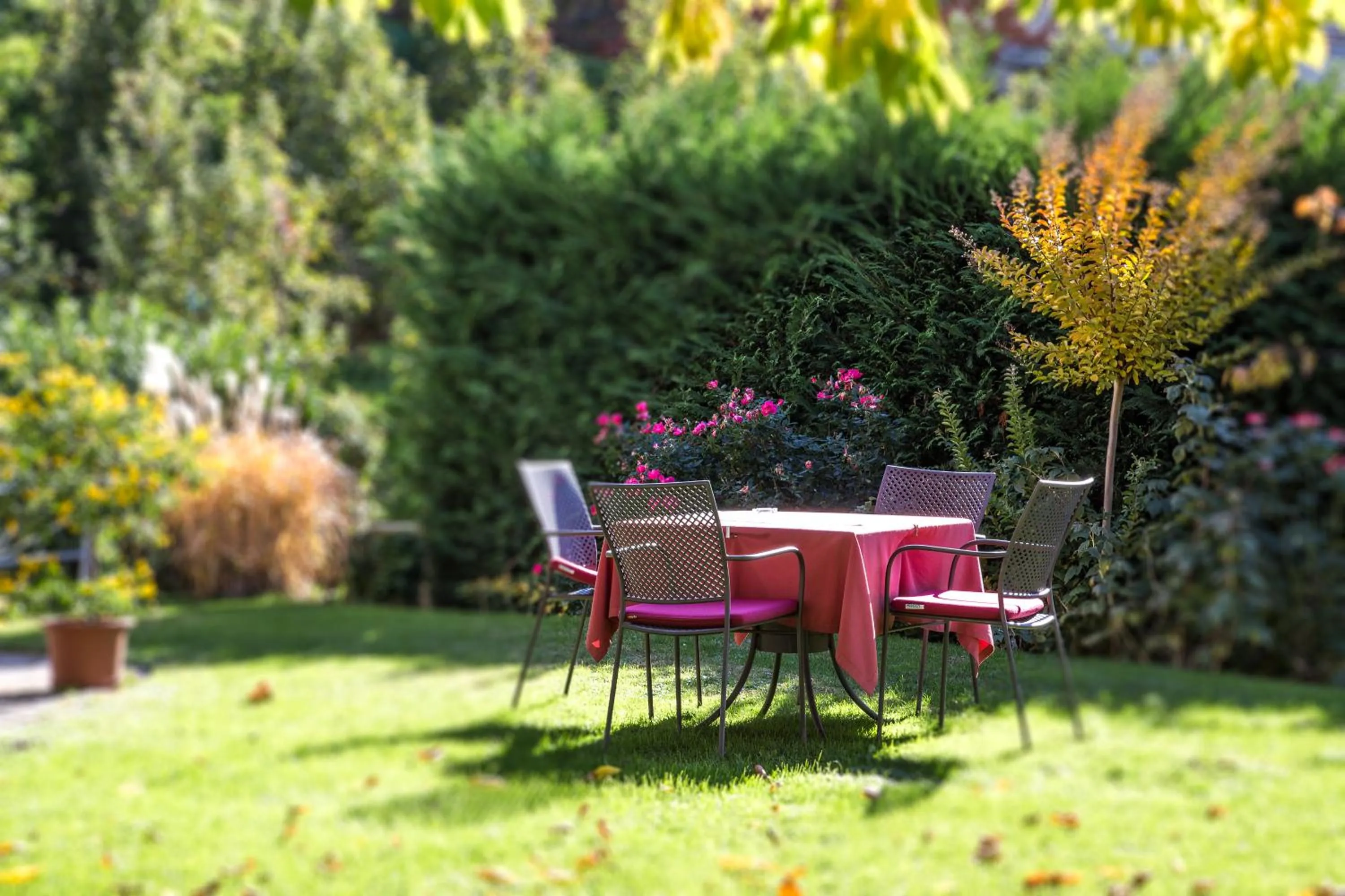 Garden in Hotel Garni Katnau