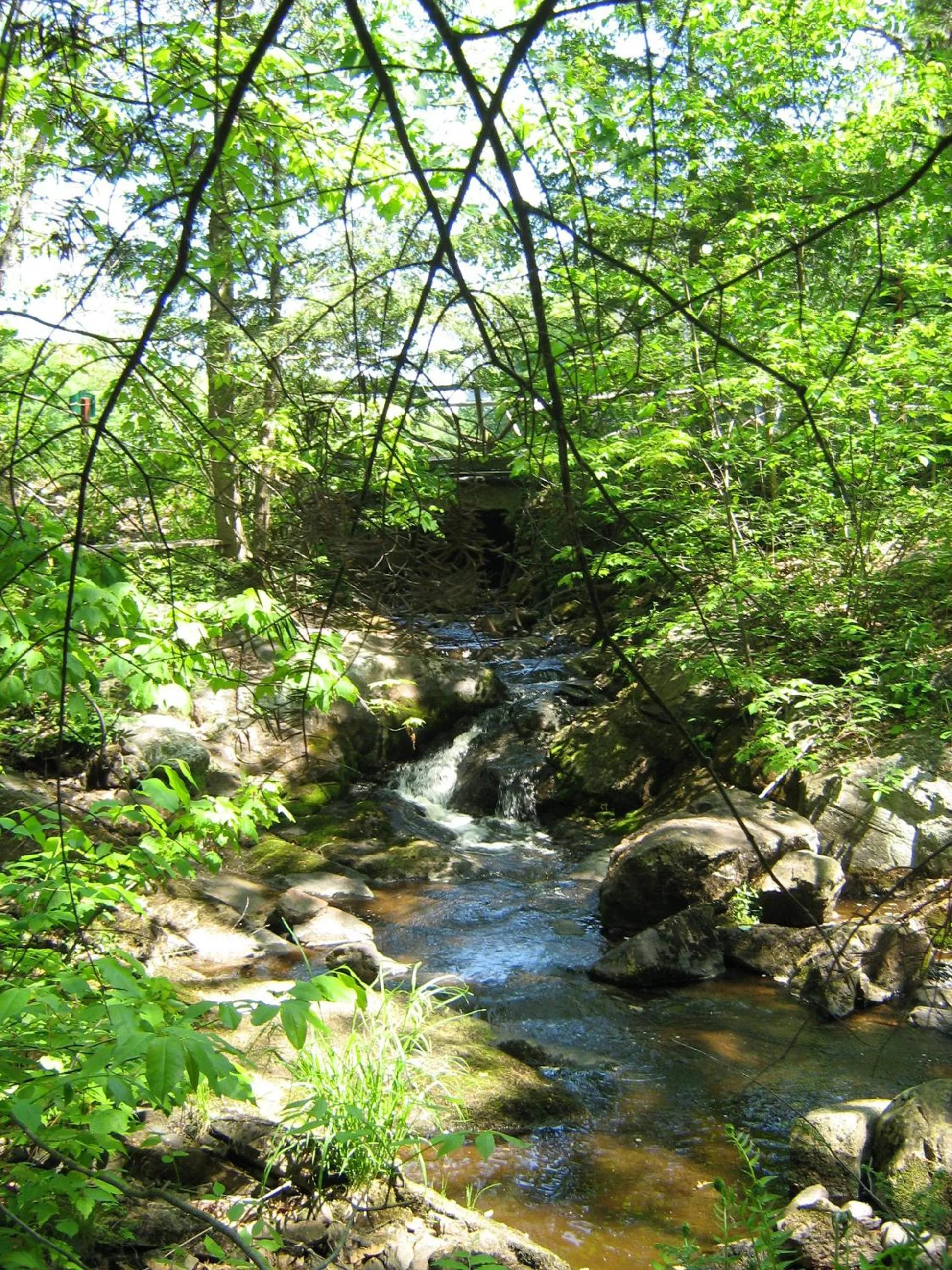 Other in Trillium Resort & Spa