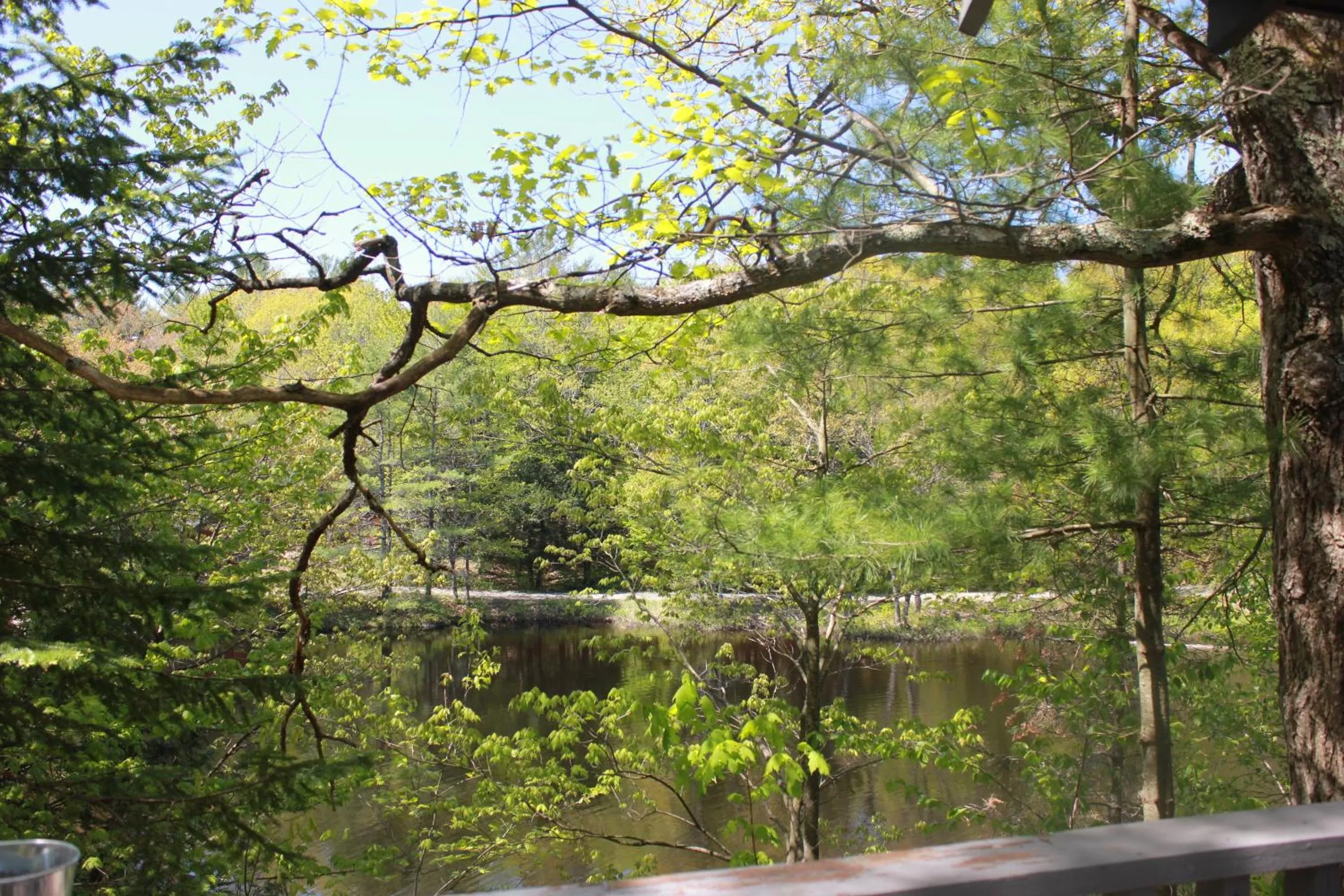 Trillium Resort & Spa