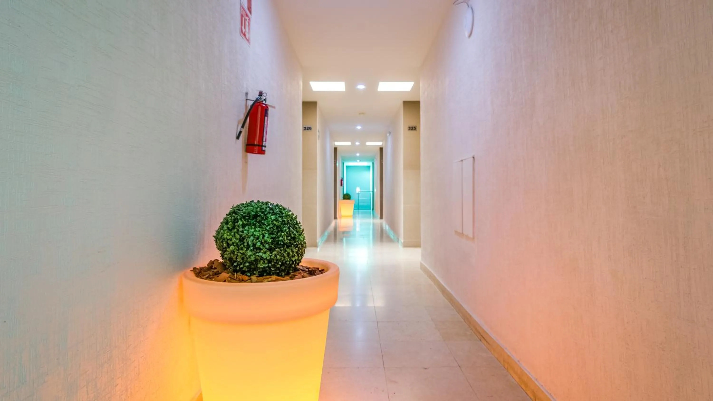 Area and facilities in Homesuites Rotarismo